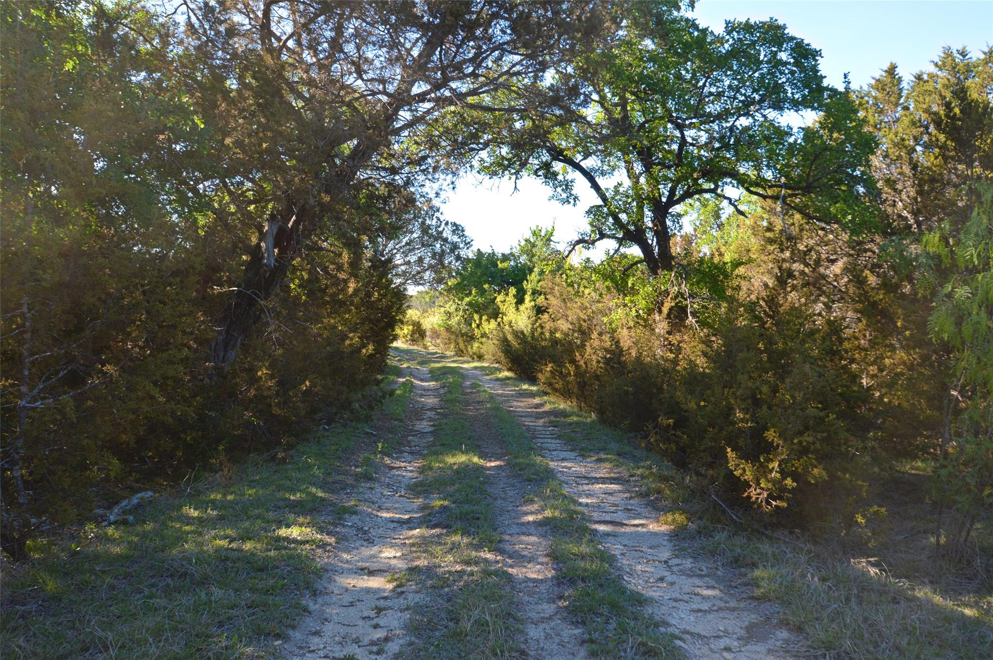 0 FM 581 Highway, Lometa, TX 76853