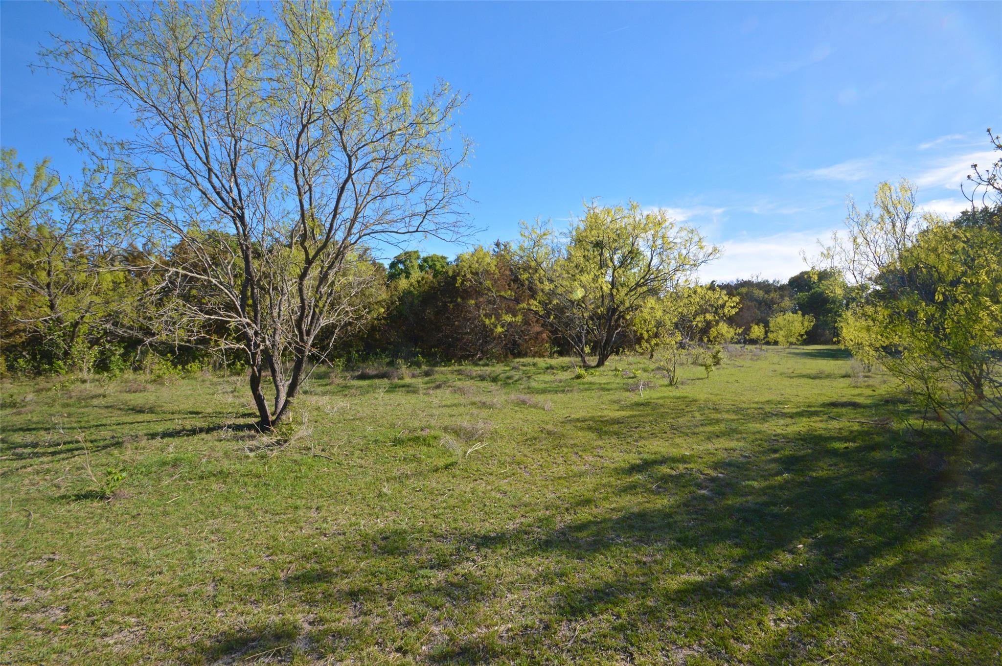 0 FM 581 Highway, Lometa, TX 76853