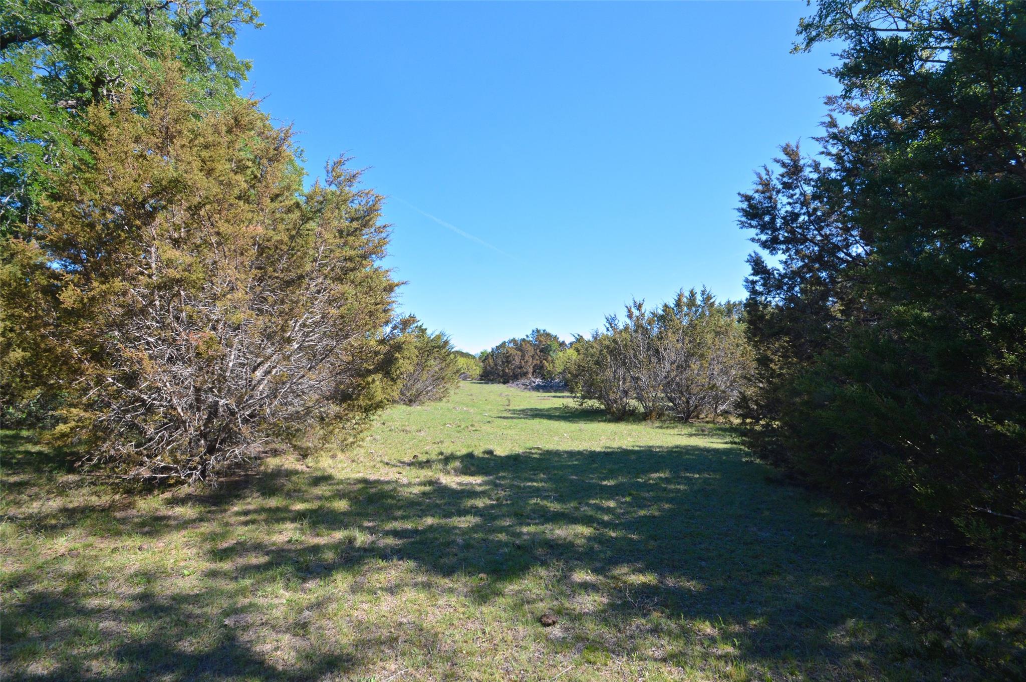 0 FM 581 Highway, Lometa, TX 76853