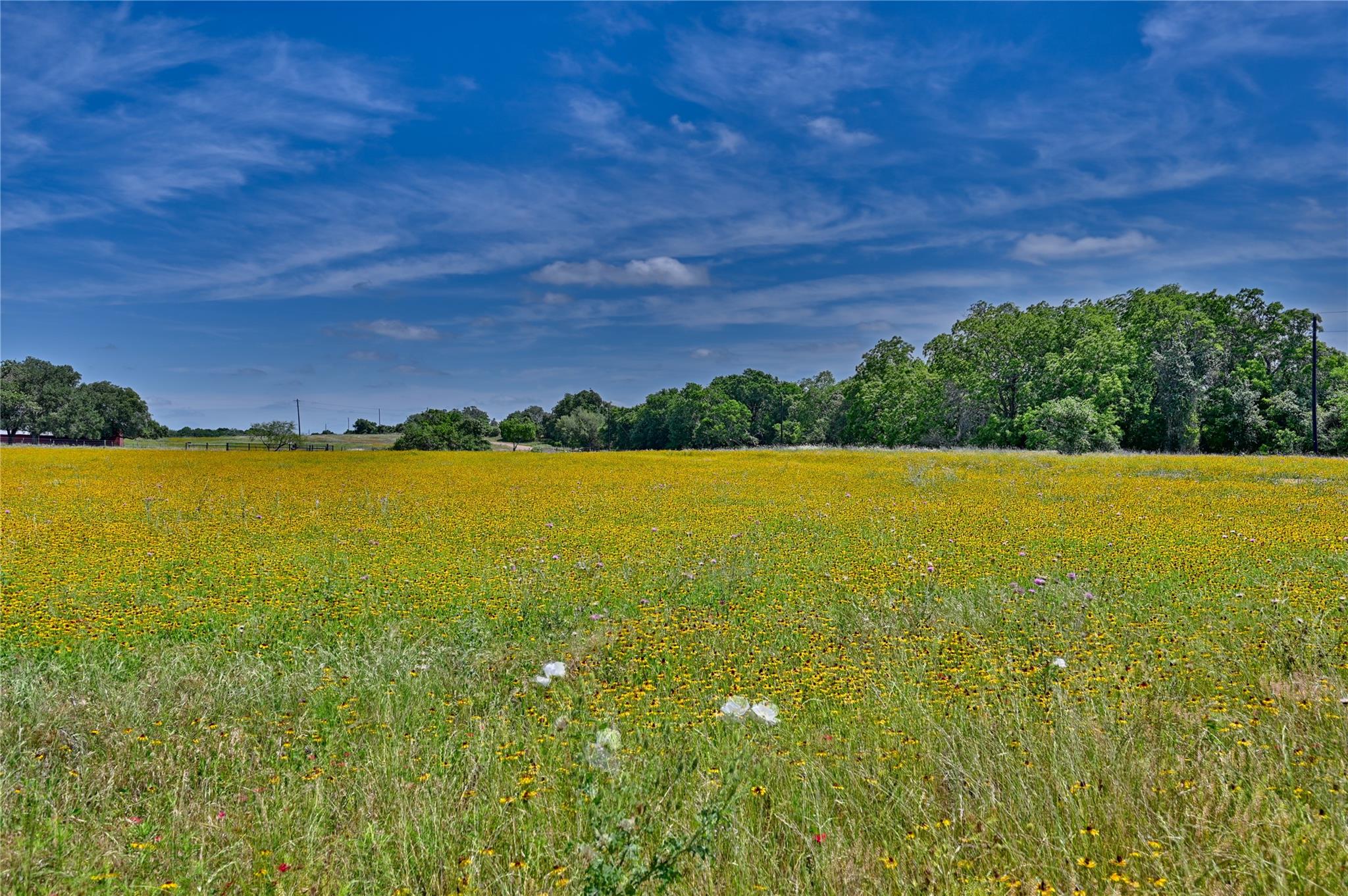 2165 County Road 250 Rd, Weimar, TX 78962