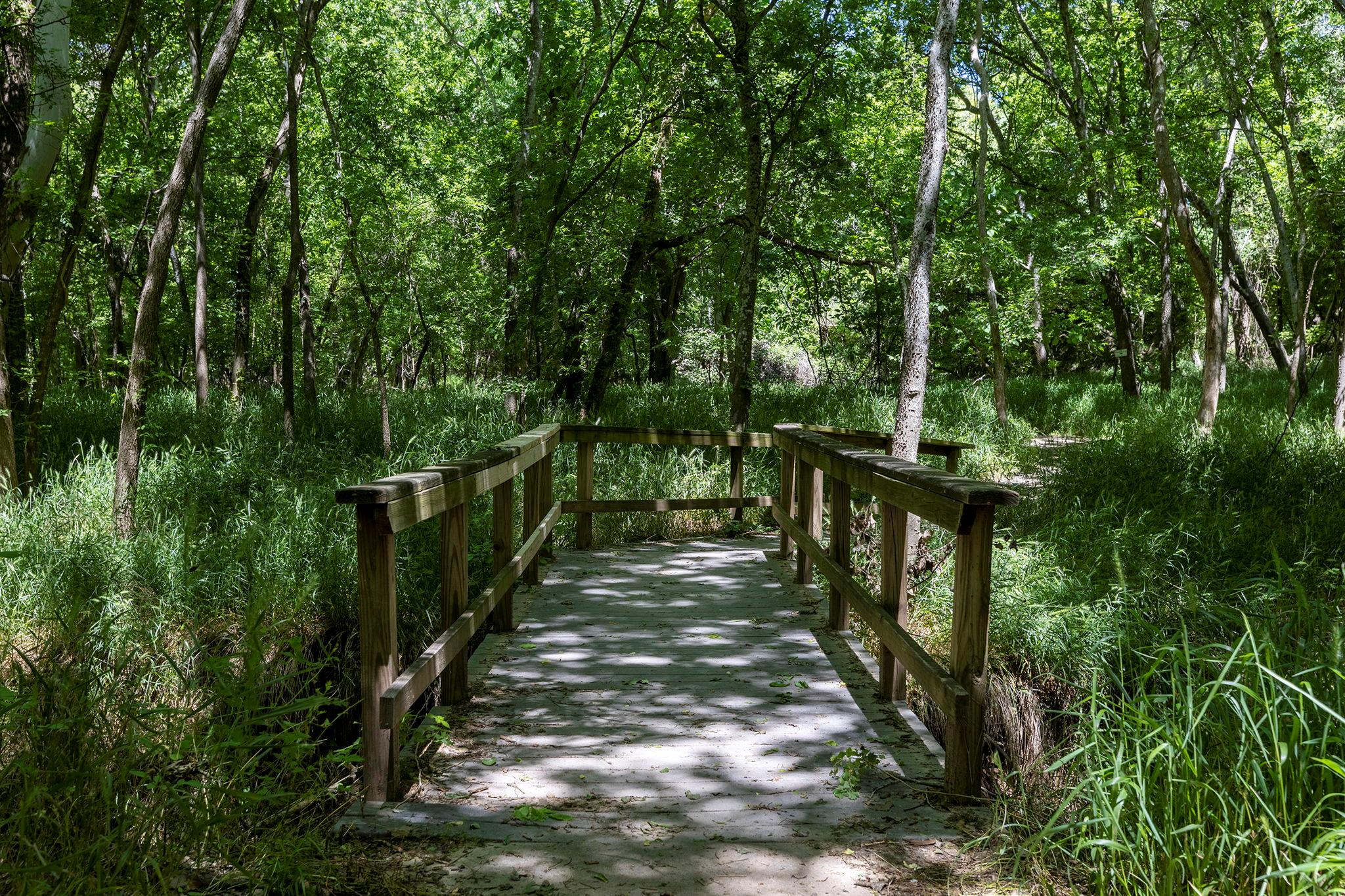 000 Oah Ct, Bastrop, TX 78602