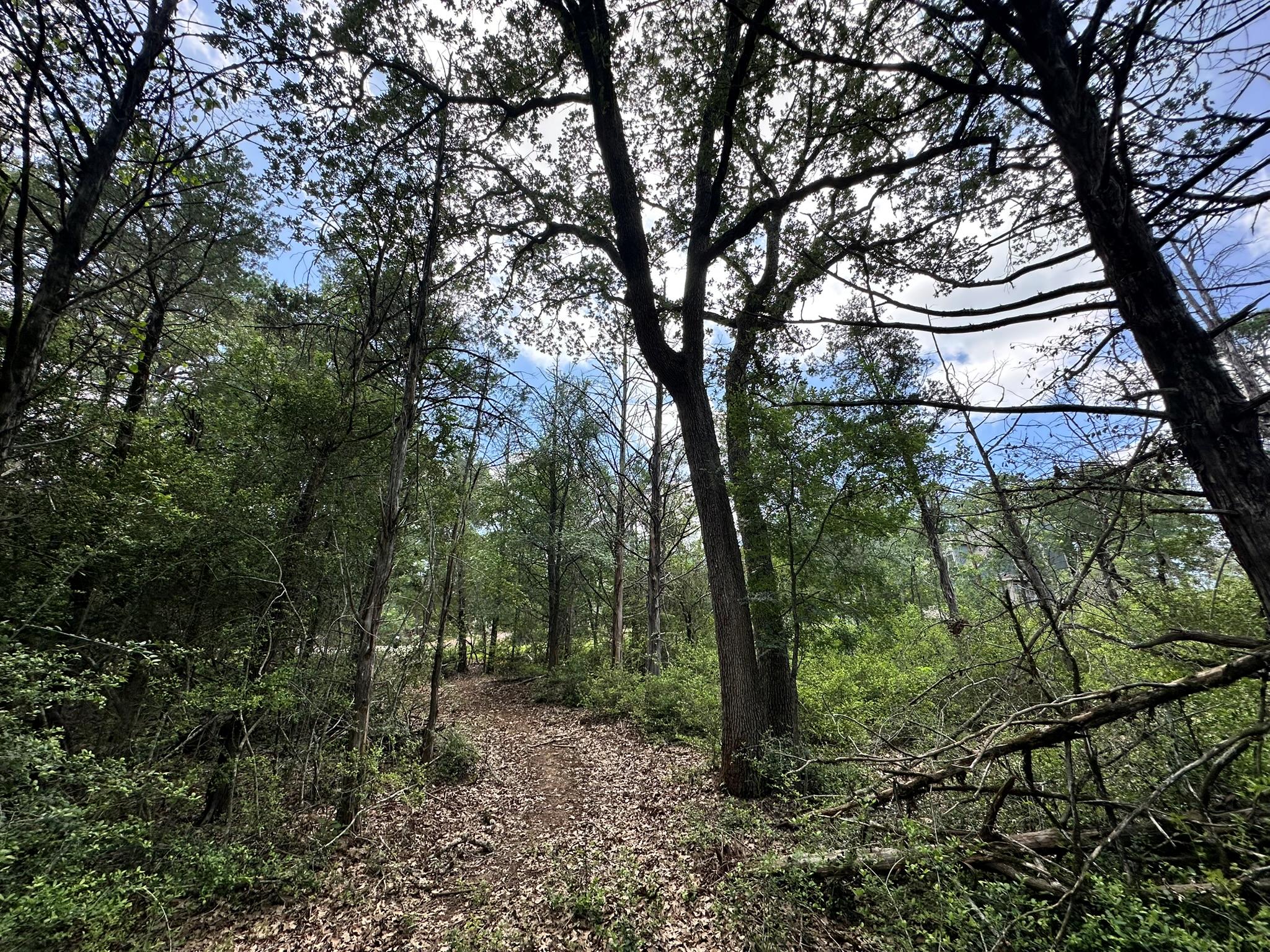 000 Oah Ct, Bastrop, TX 78602