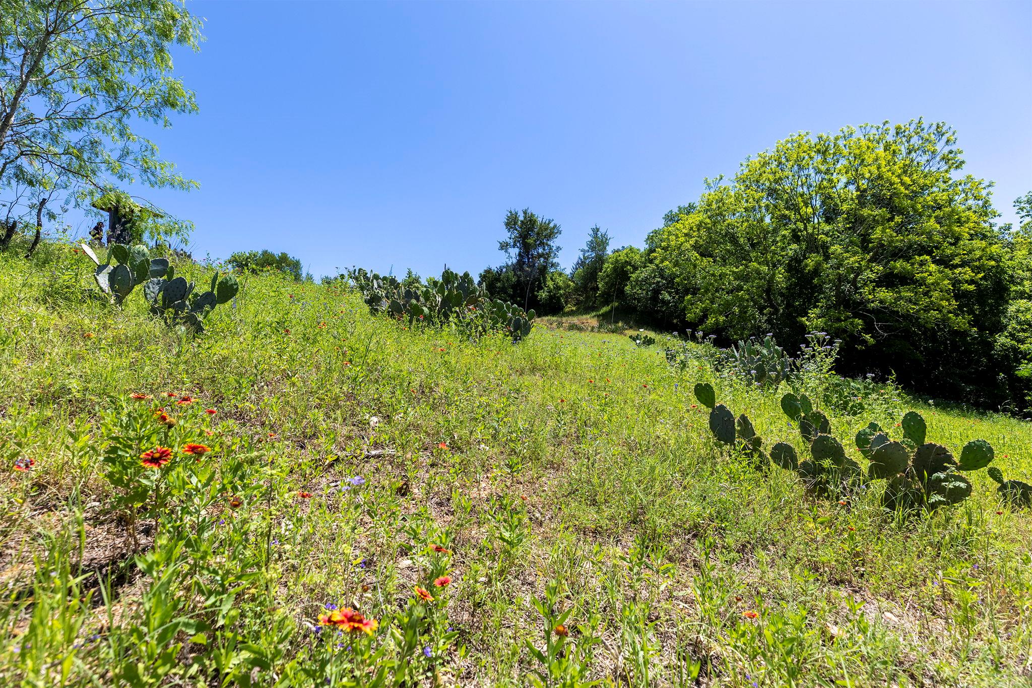 000 Oah Ct, Bastrop, TX 78602