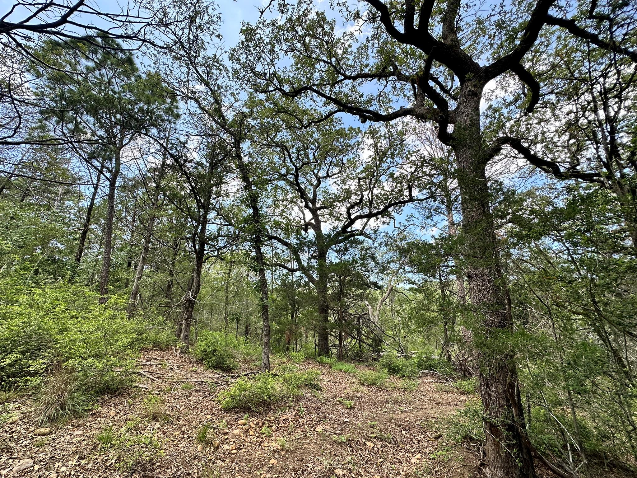 000 Oah Ct, Bastrop, TX 78602