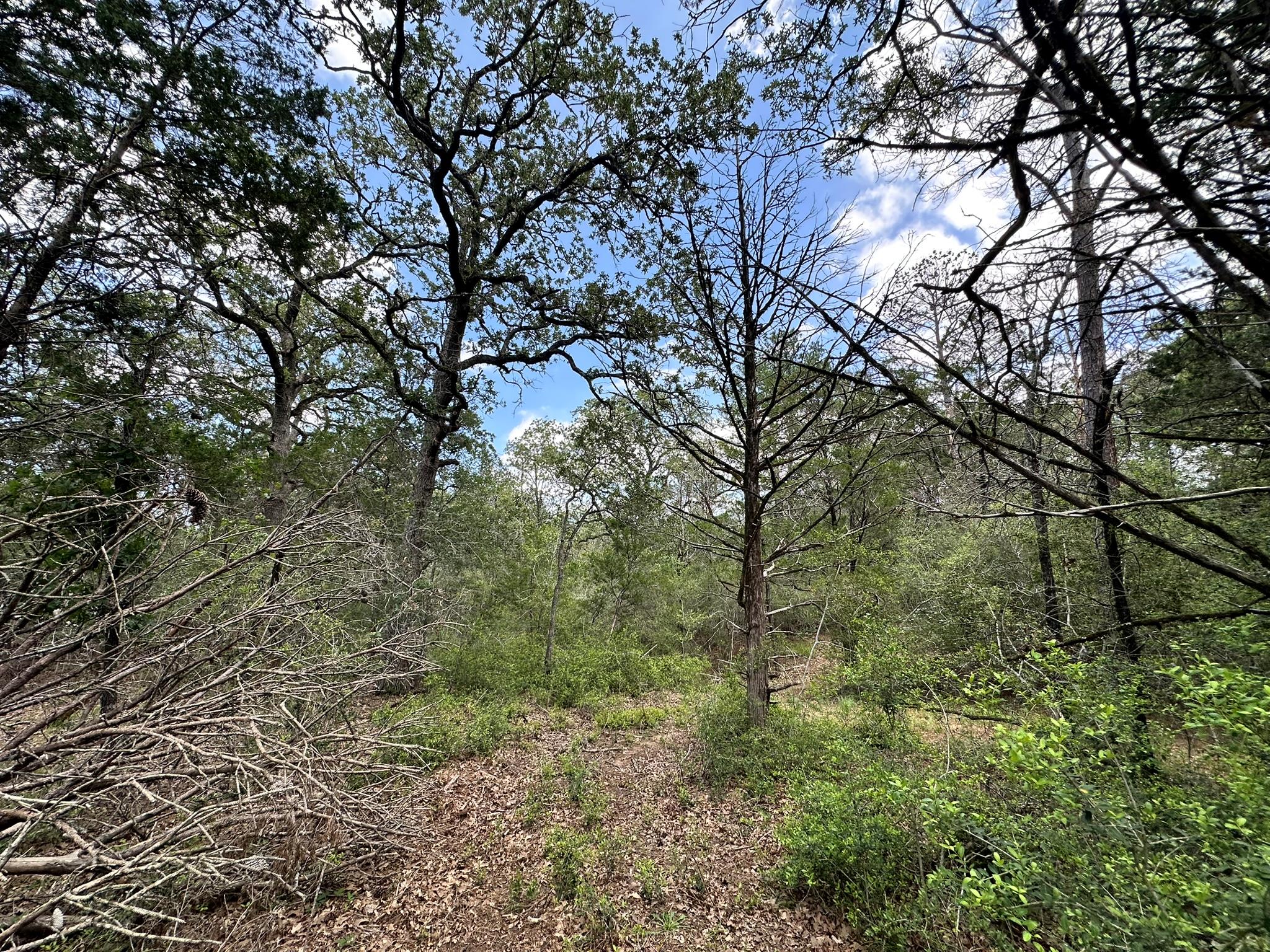 TBD Oah Ct, Bastrop, TX 78602