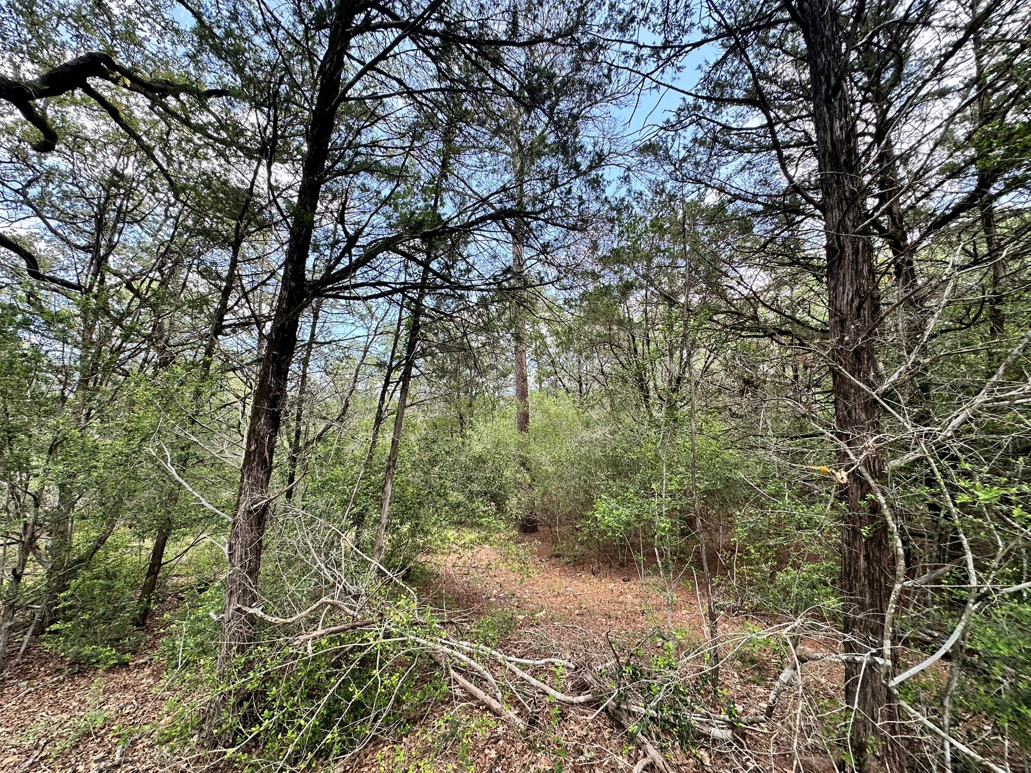 TBD Oah Ct, Bastrop, TX 78602
