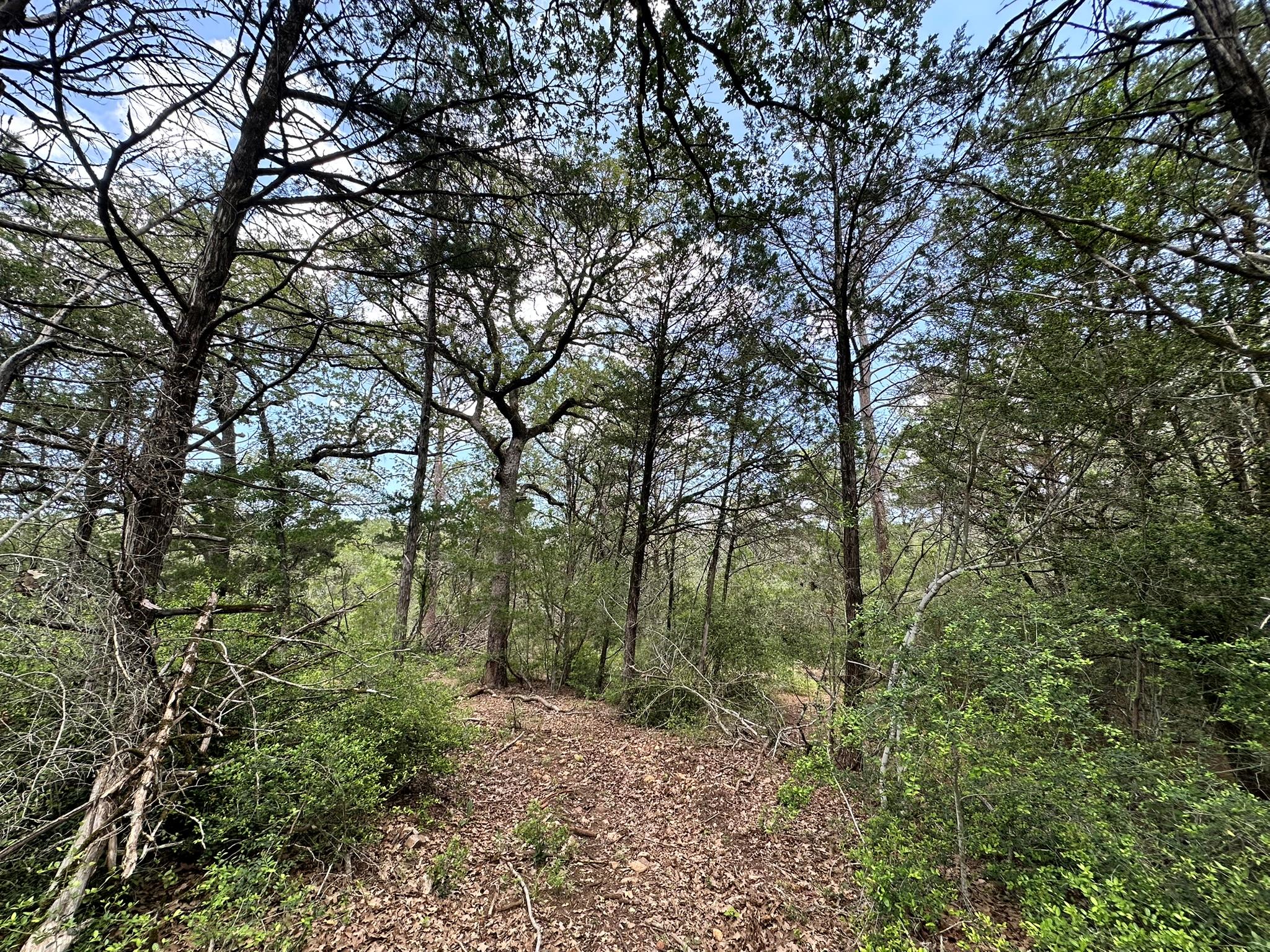 TBD Oah Ct, Bastrop, TX 78602