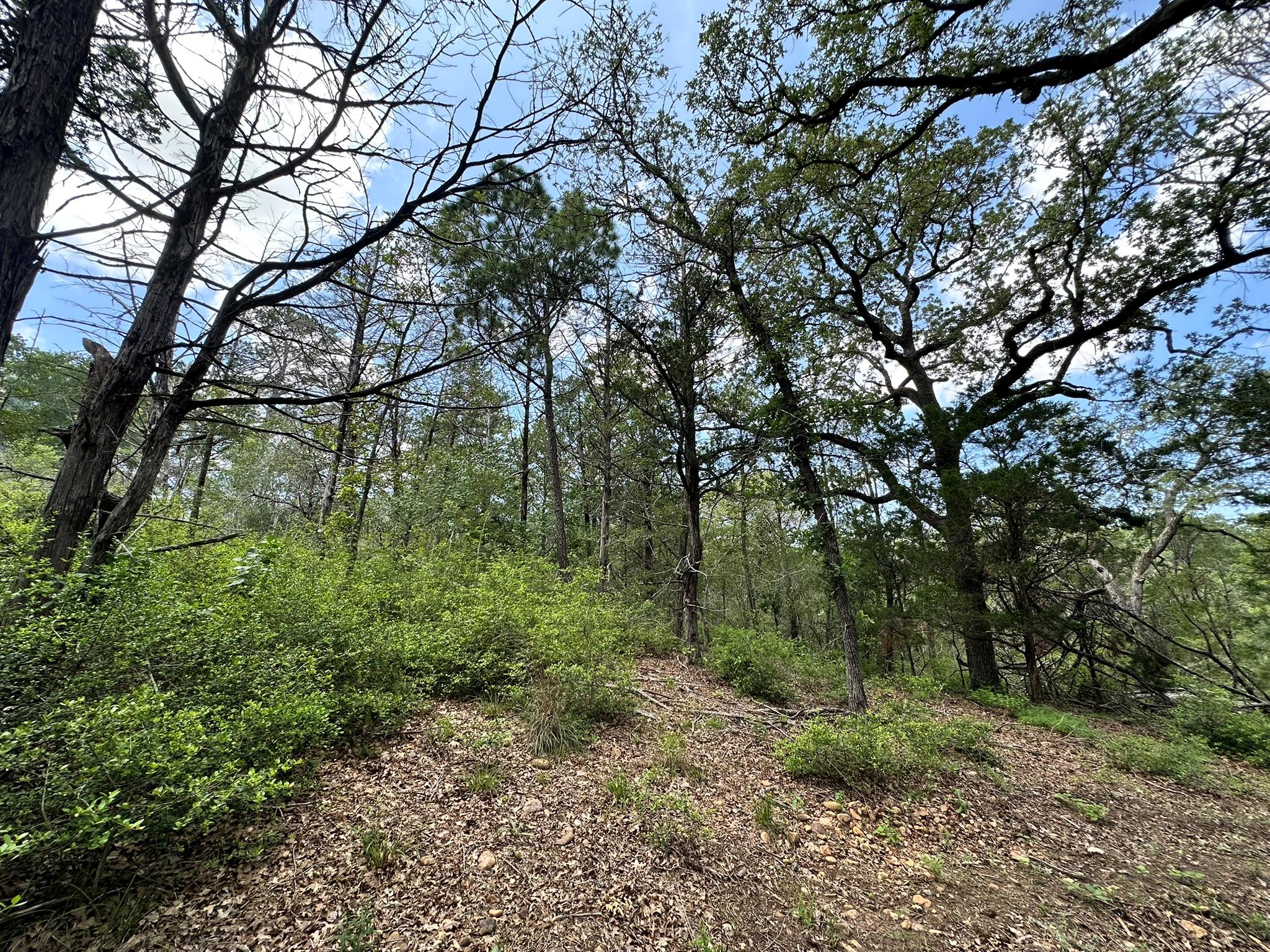 TBD Oah Ct, Bastrop, TX 78602