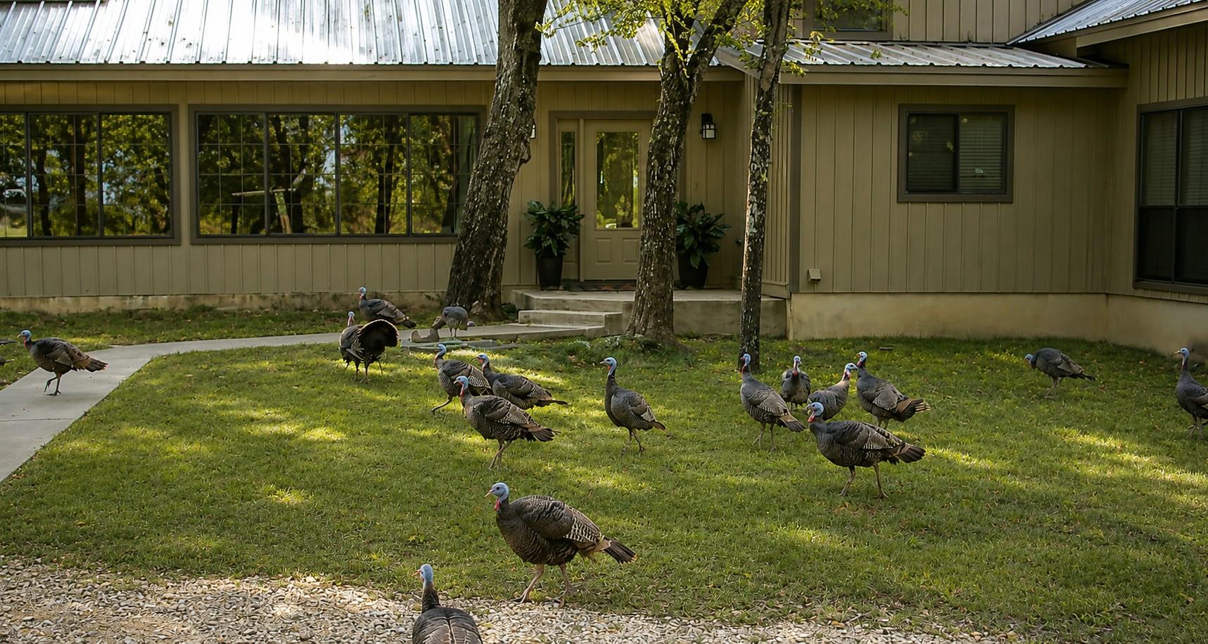 Luling, TX 78648