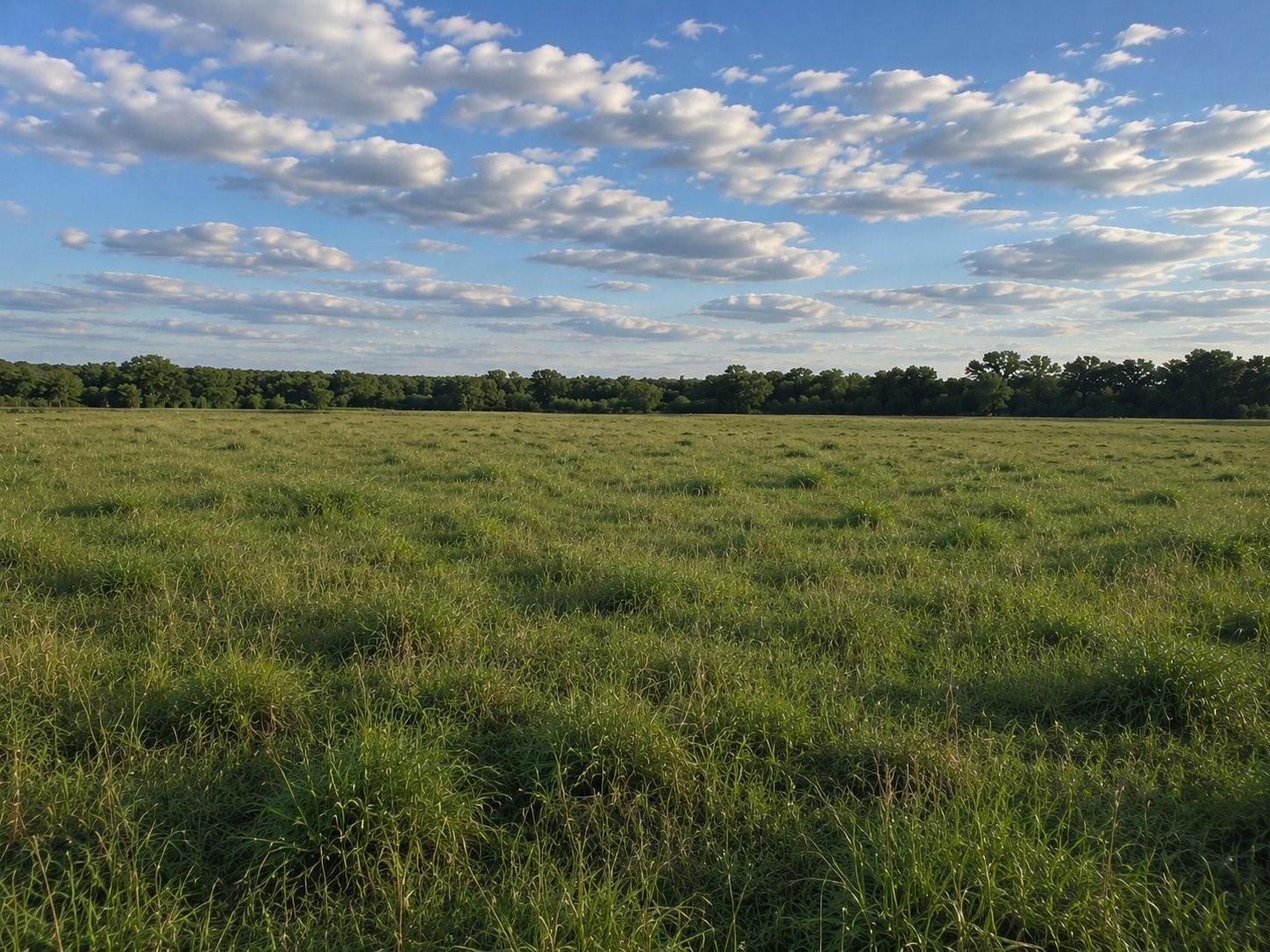 Luling, TX 78648