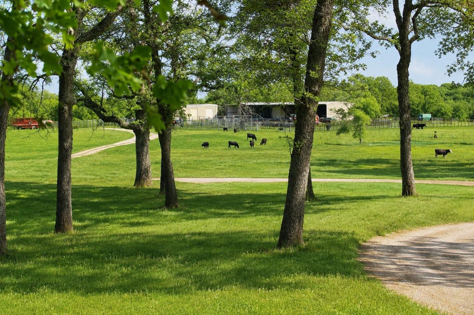 Luling, TX 78648