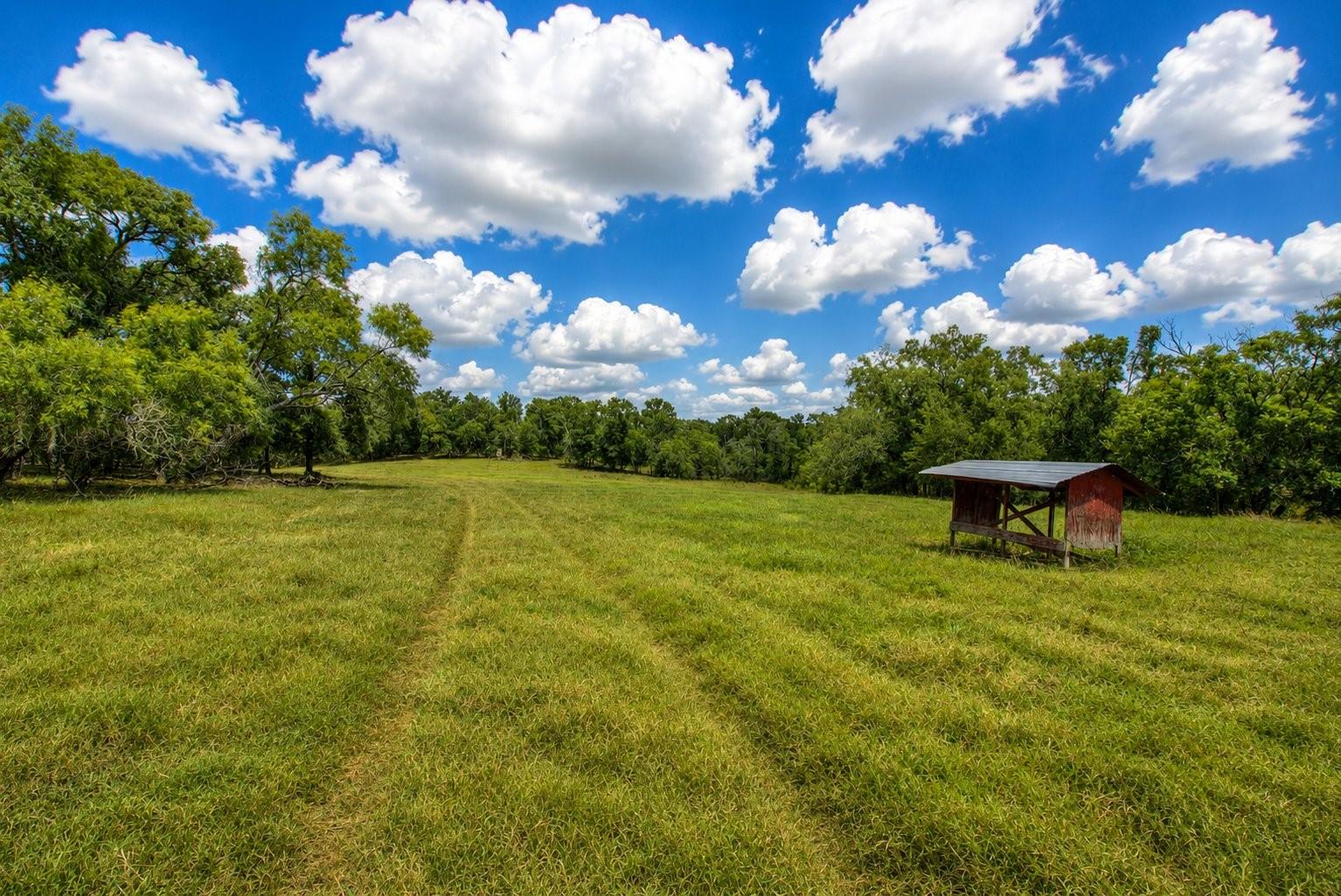 Luling, TX 78648