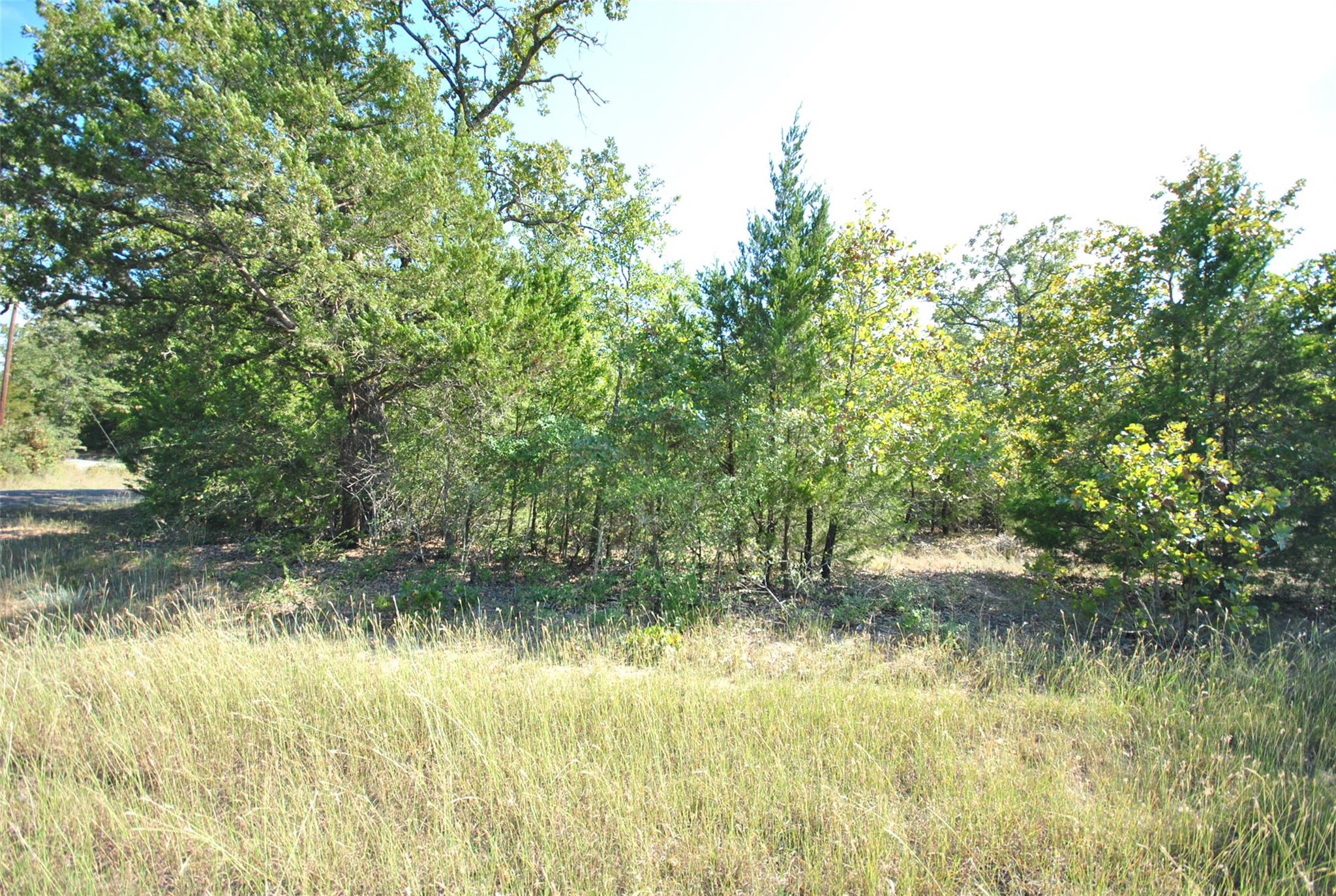 LOT 24 LCR 910, Jewett, TX 75846
