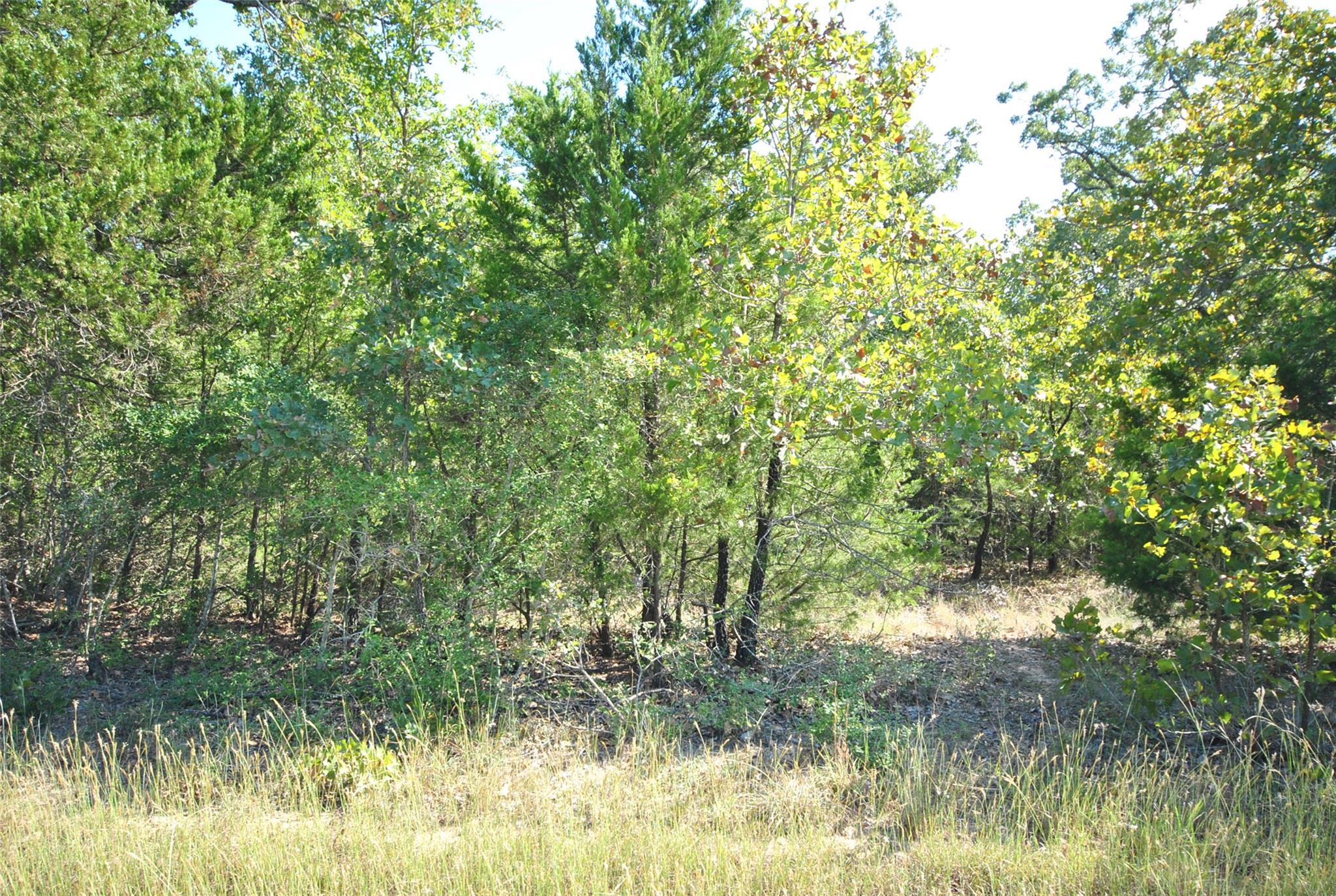 LOT 24 LCR 910, Jewett, TX 75846