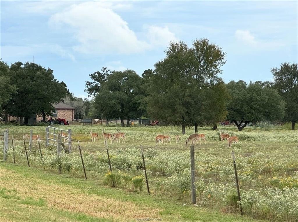 1102 Private Road 2332, Giddings, TX 78942