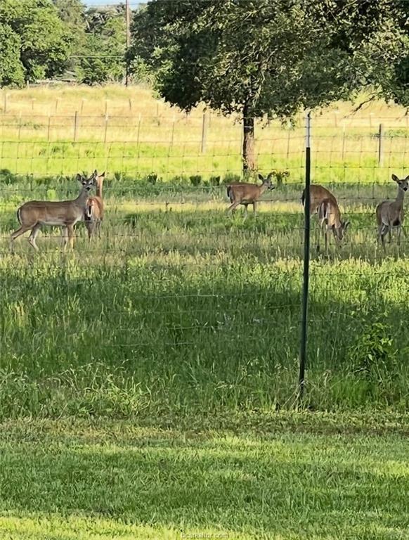 1102 Private Road 2332, Giddings, TX 78942