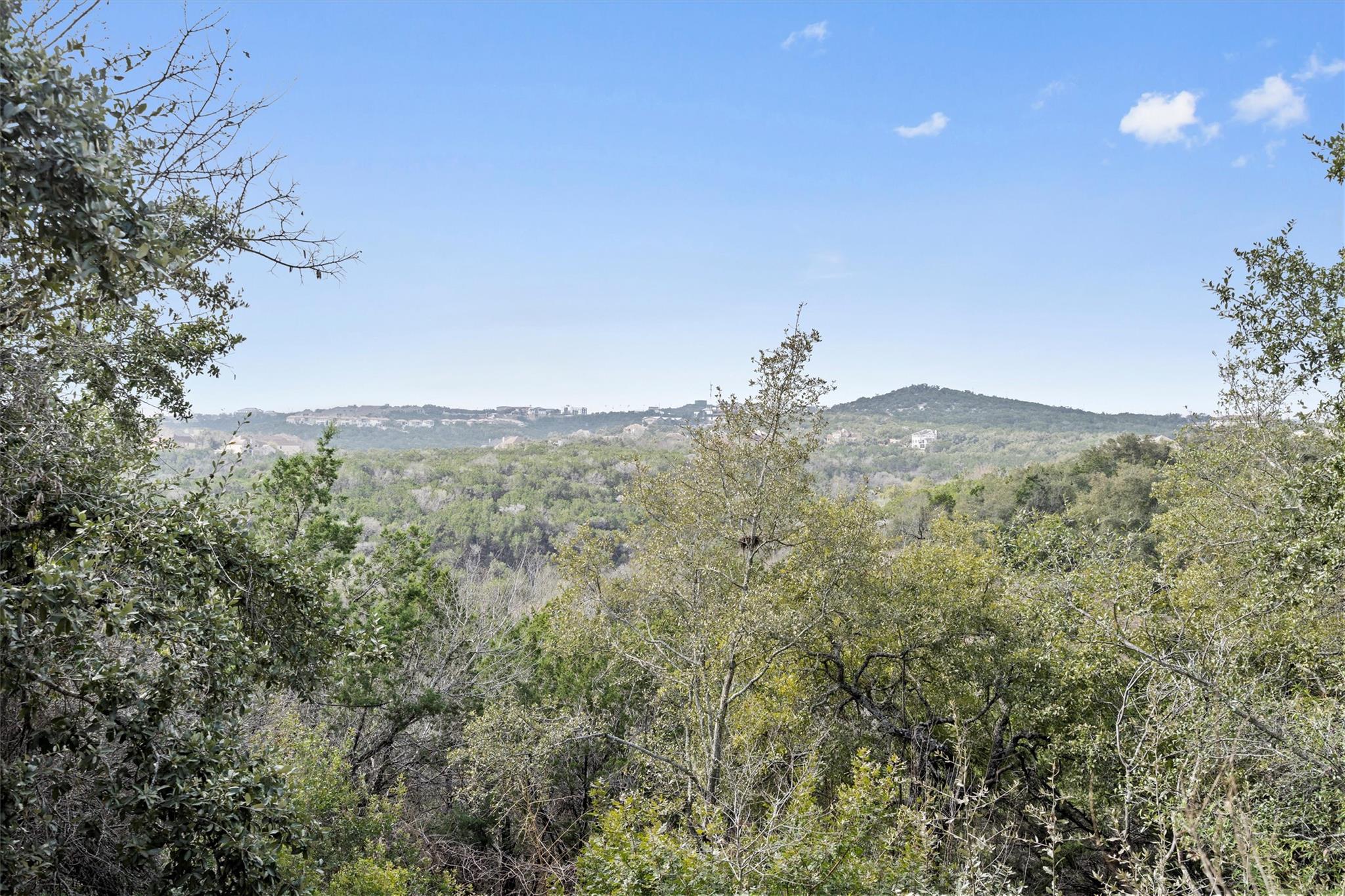 15101 Mettle Dr, Austin, TX 78734