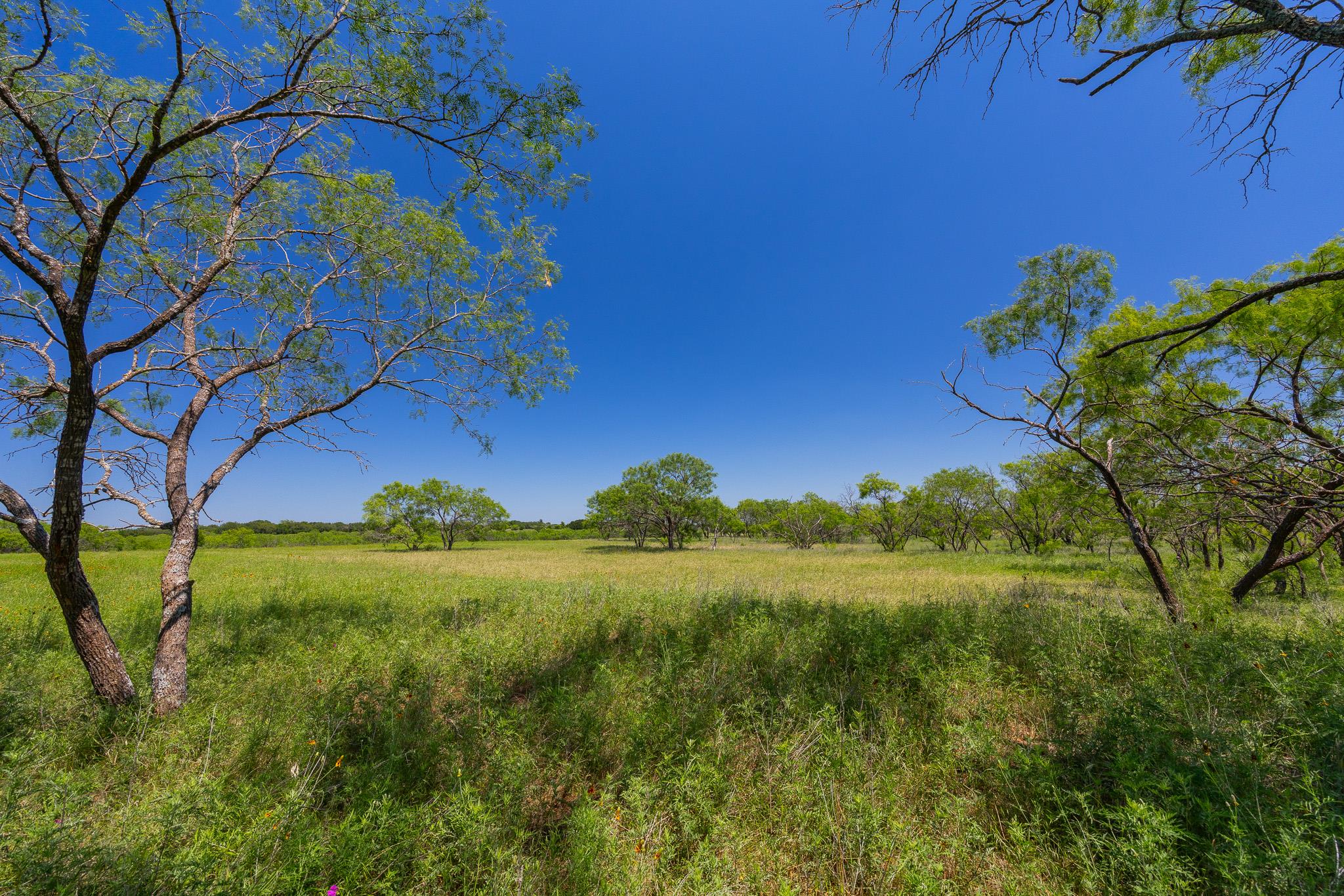 Purmela, TX 76566