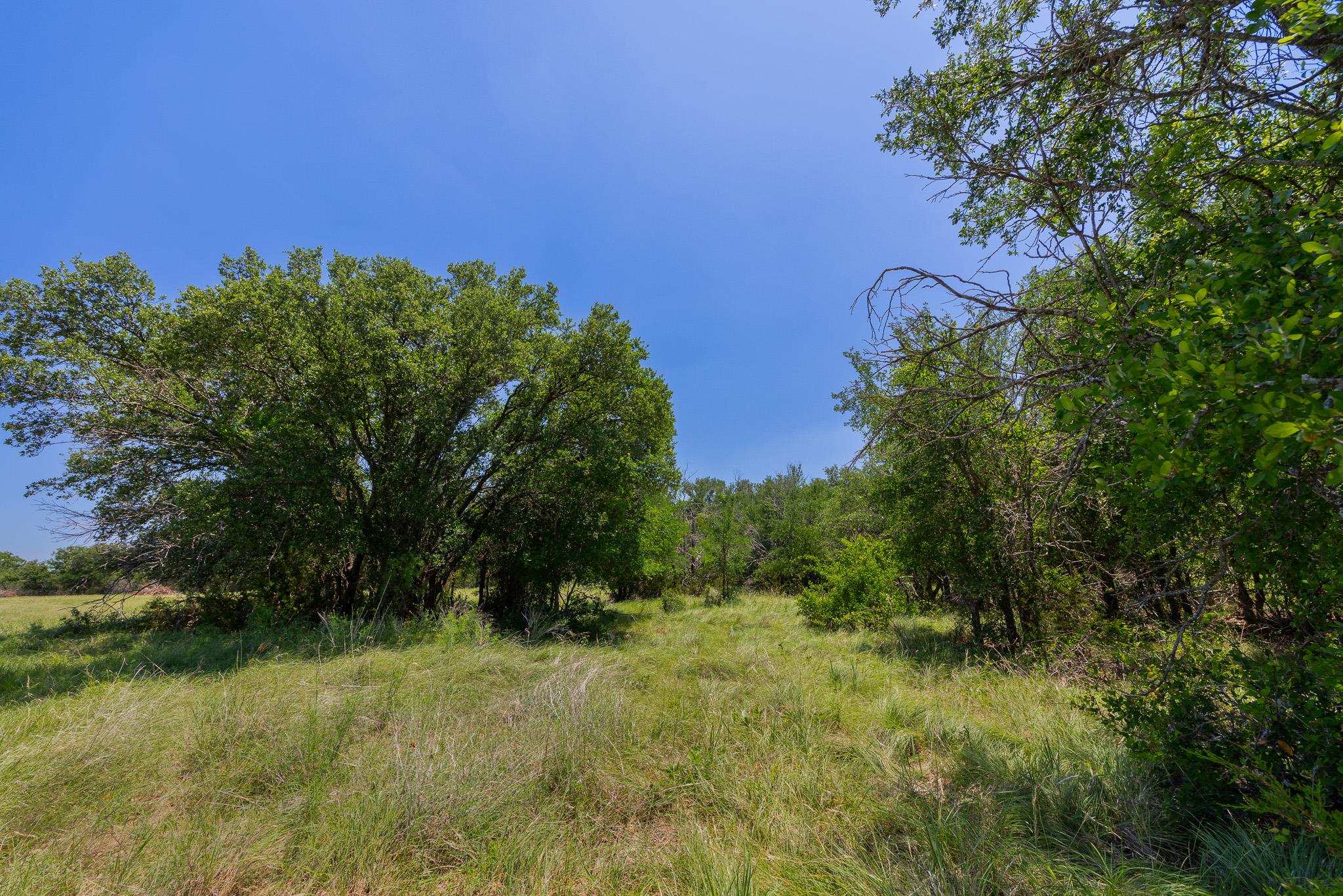 Purmela, TX 76566