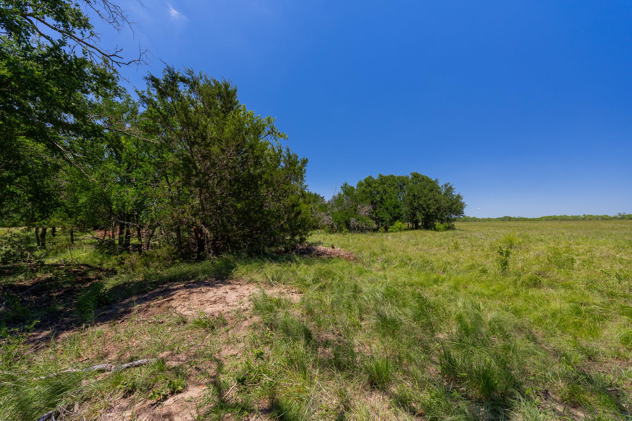 Purmela, TX 76566