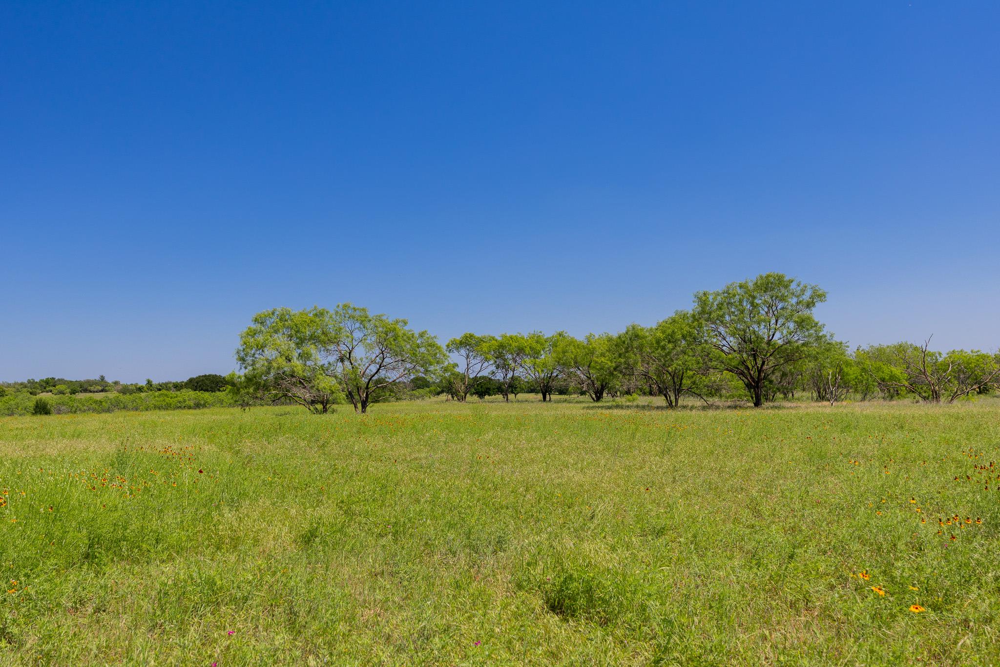 Purmela, TX 76566