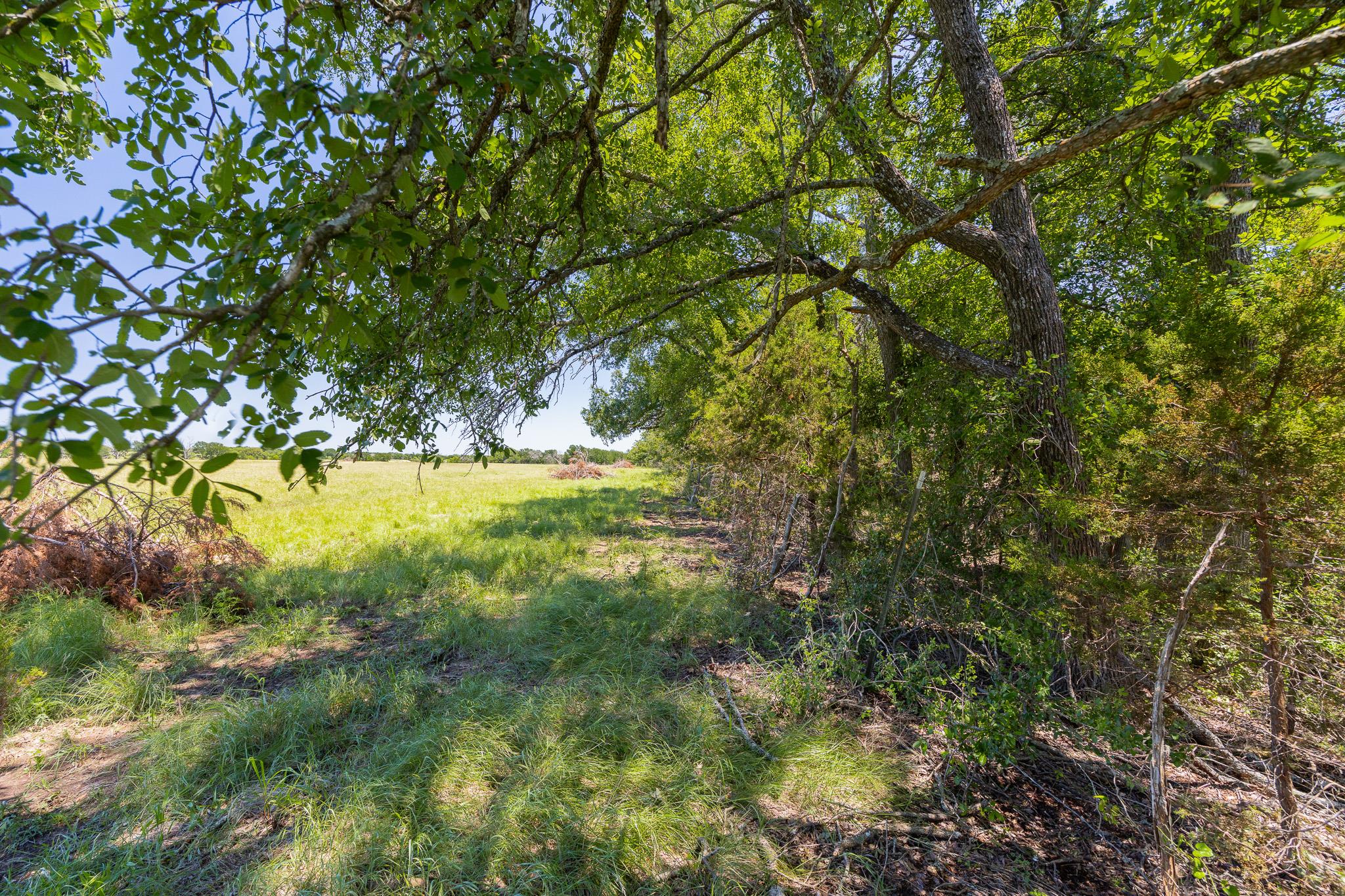 Purmela, TX 76566
