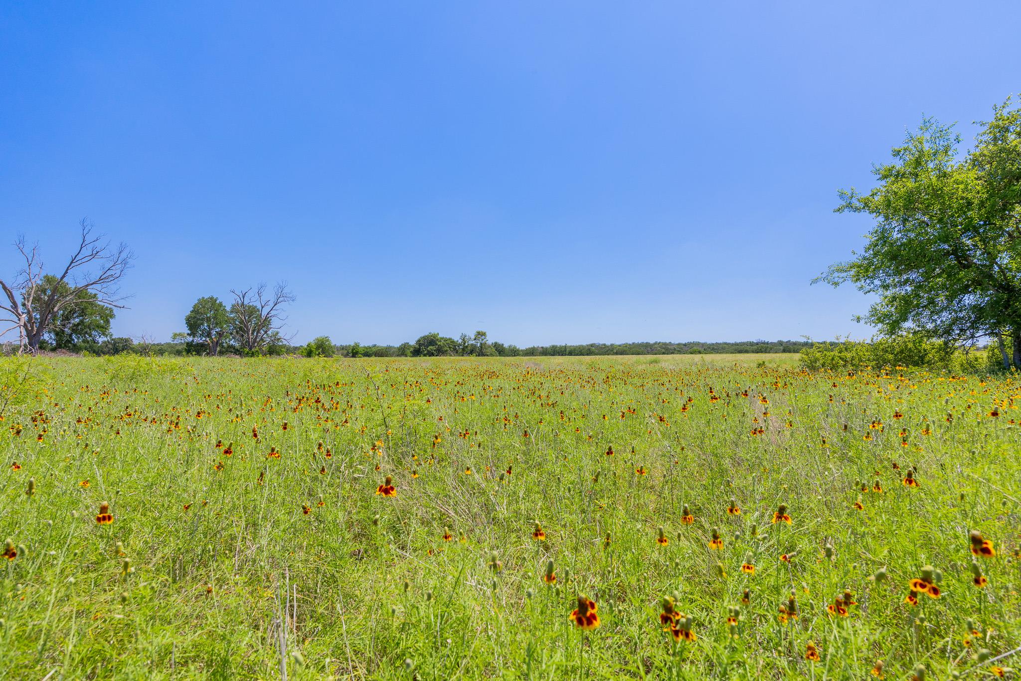 Purmela, TX 76566