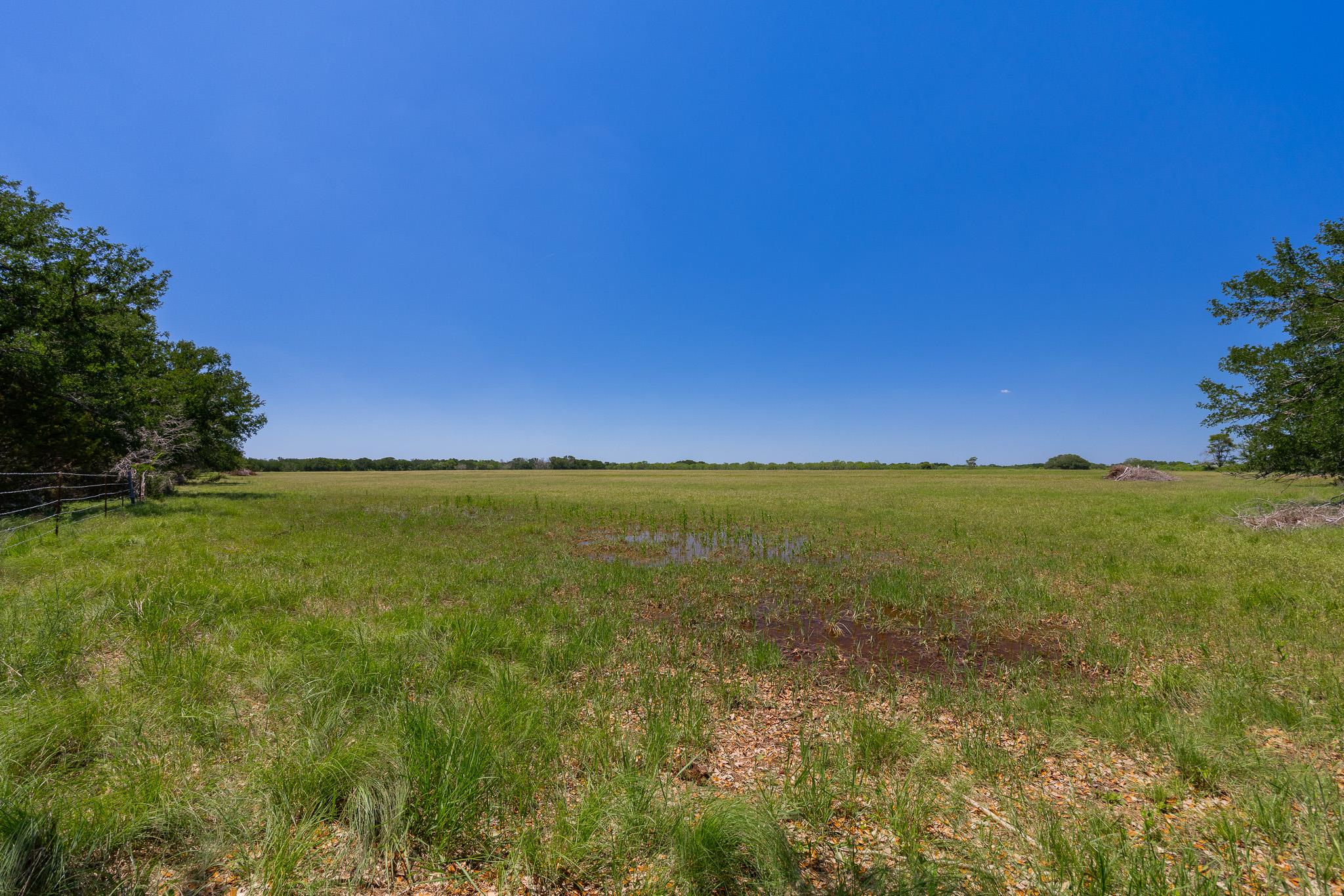 Purmela, TX 76566