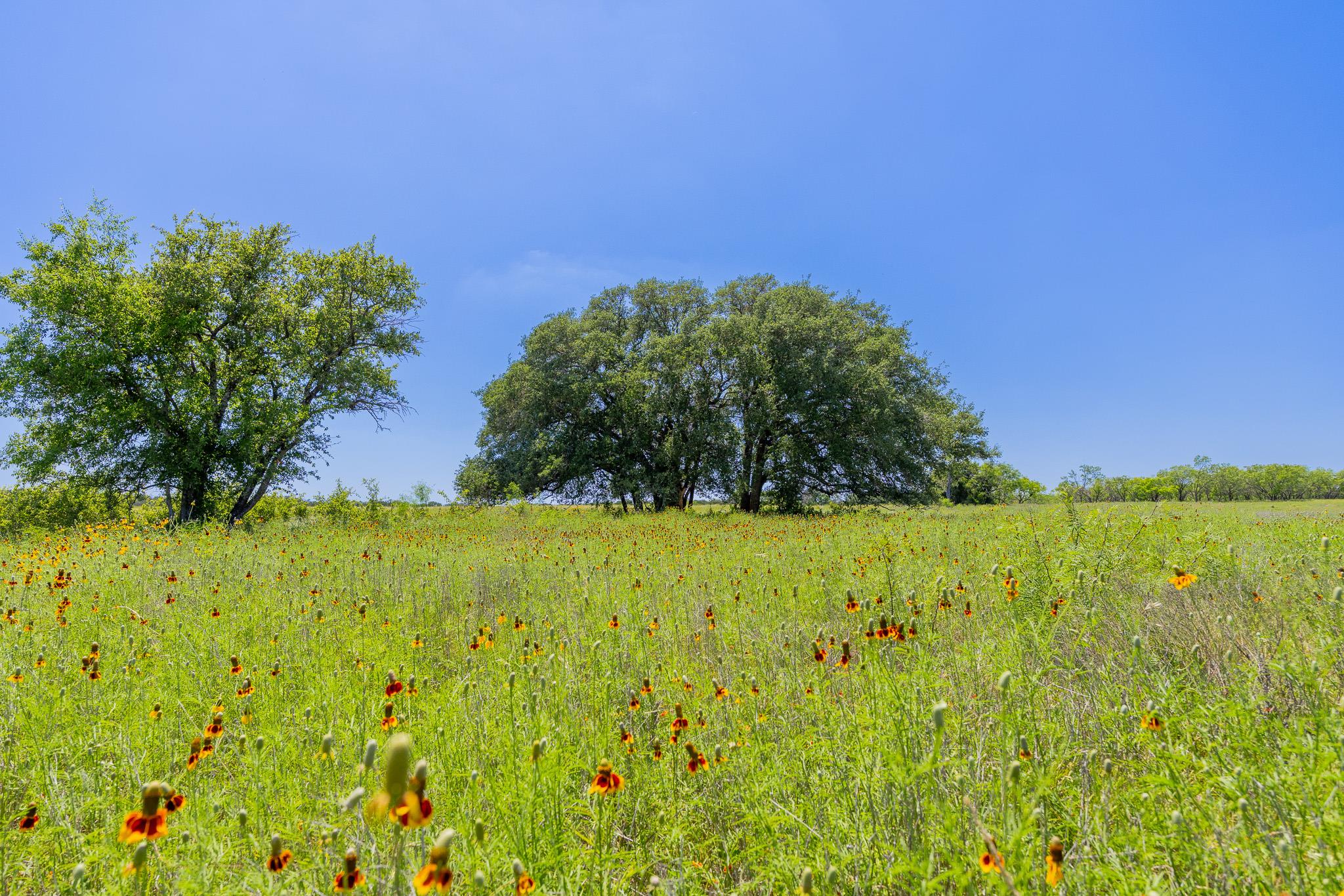 Purmela, TX 76566