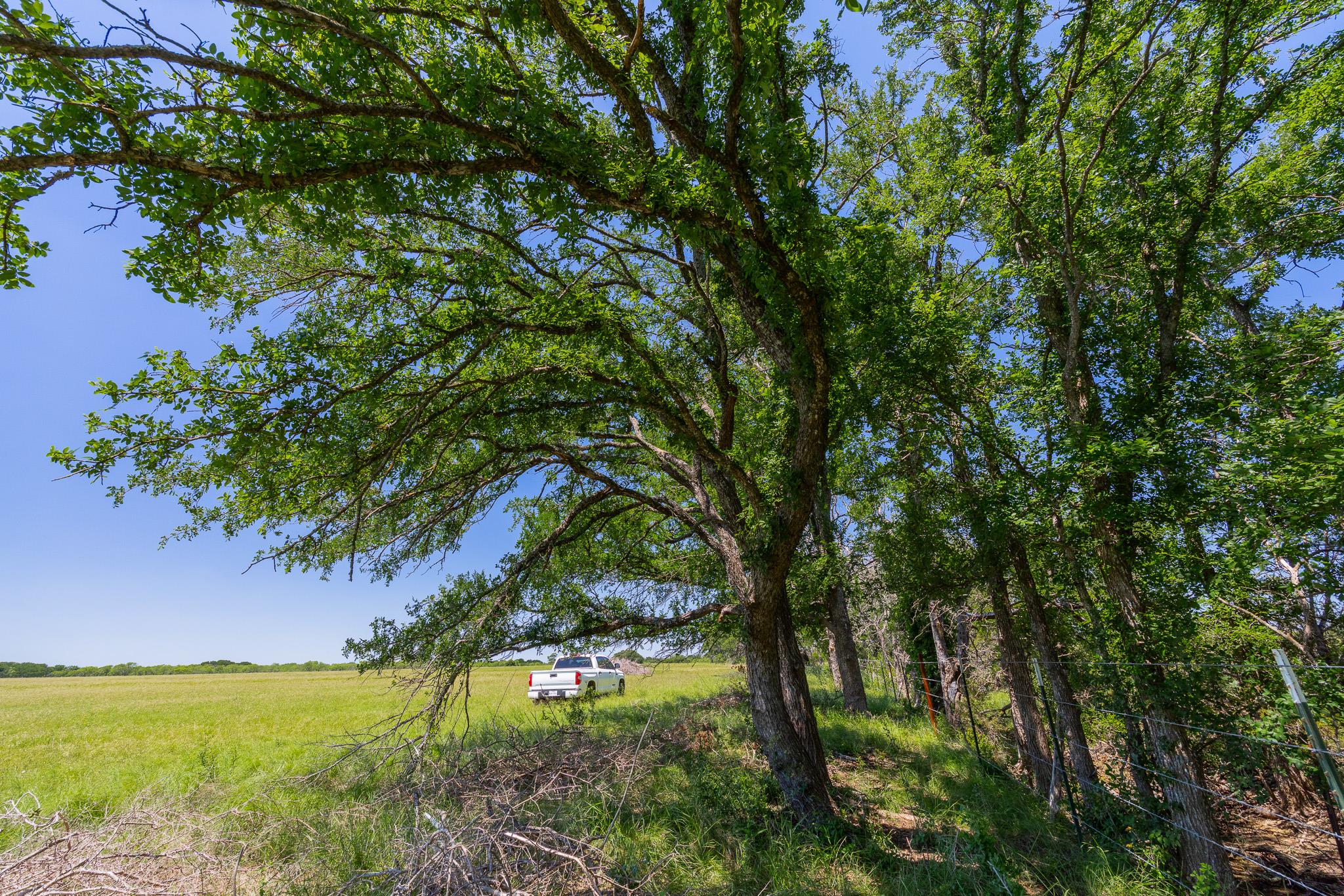 Purmela, TX 76566
