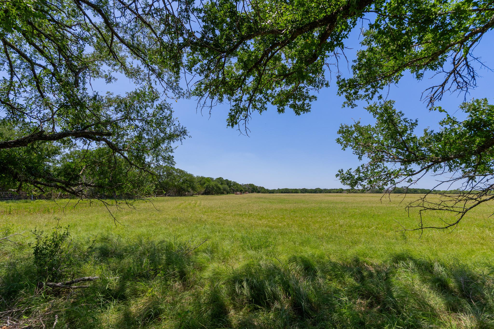 Purmela, TX 76566