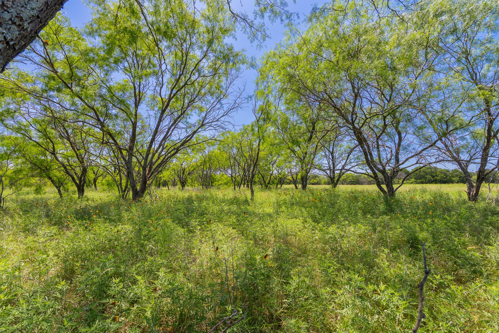 Purmela, TX 76566