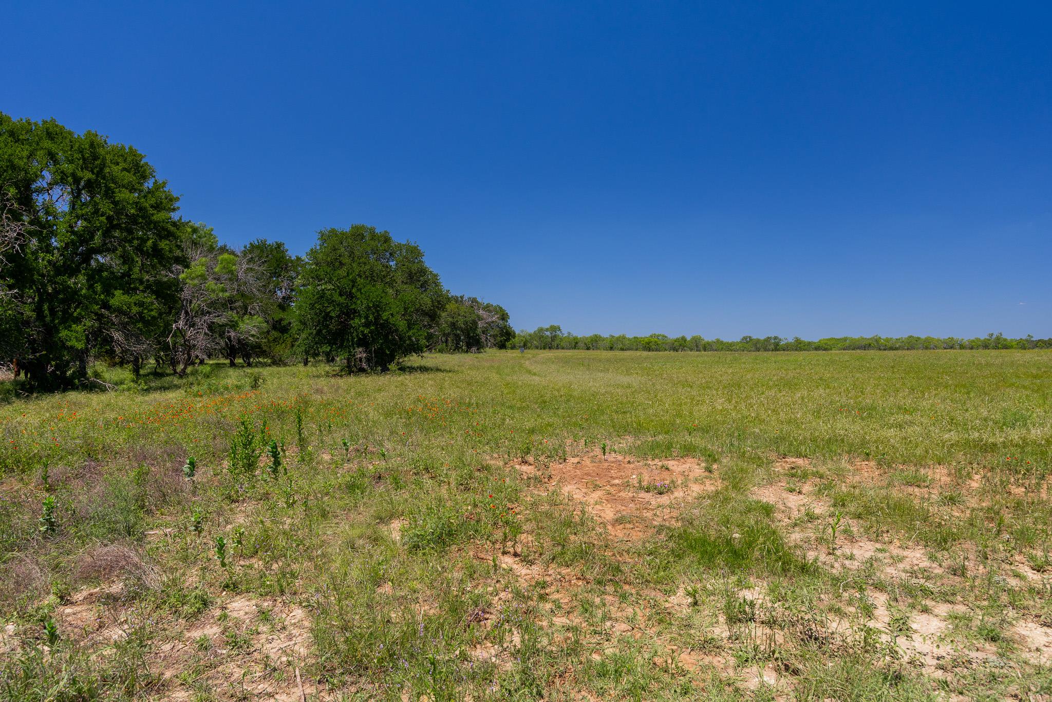 Purmela, TX 76566
