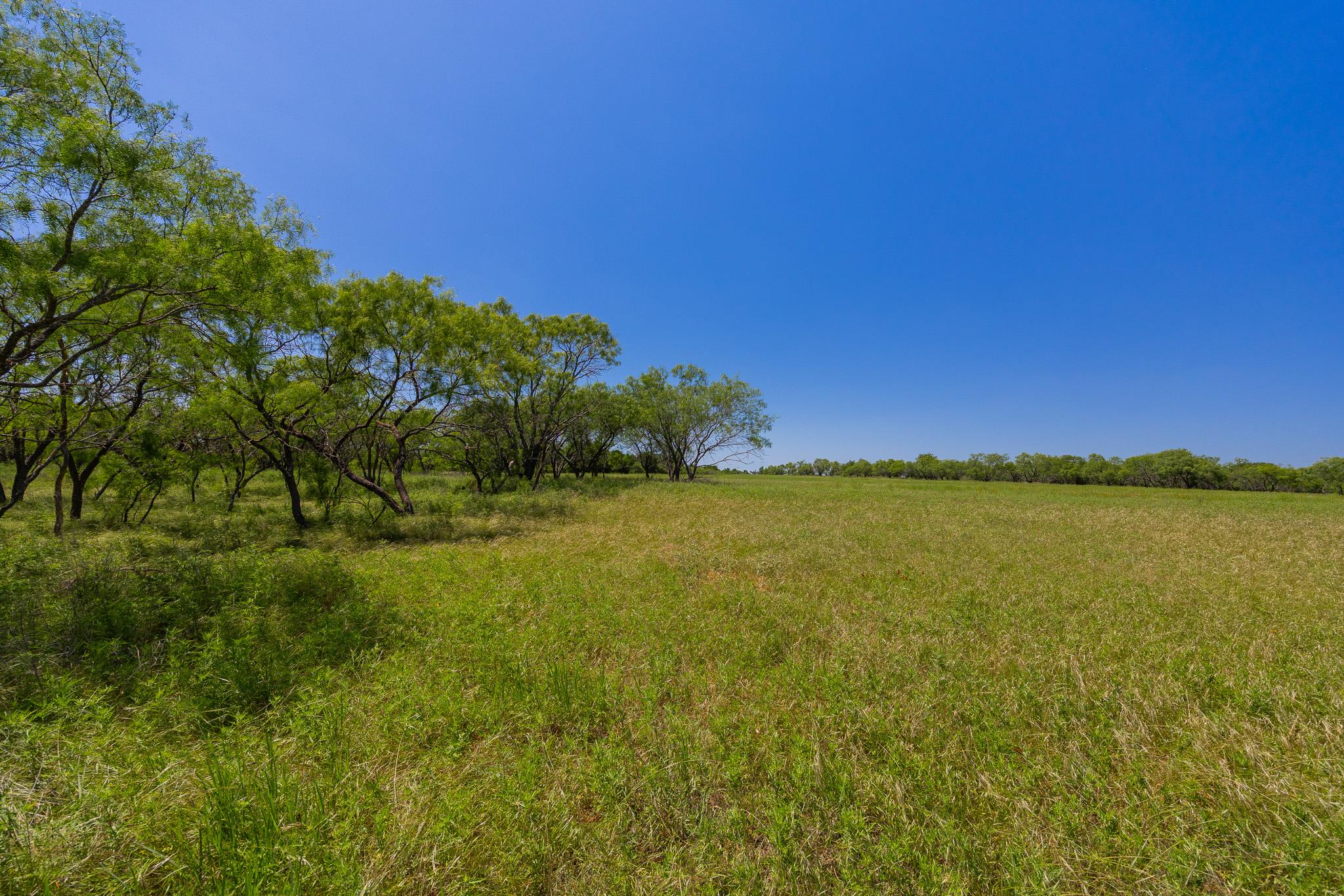 Purmela, TX 76566