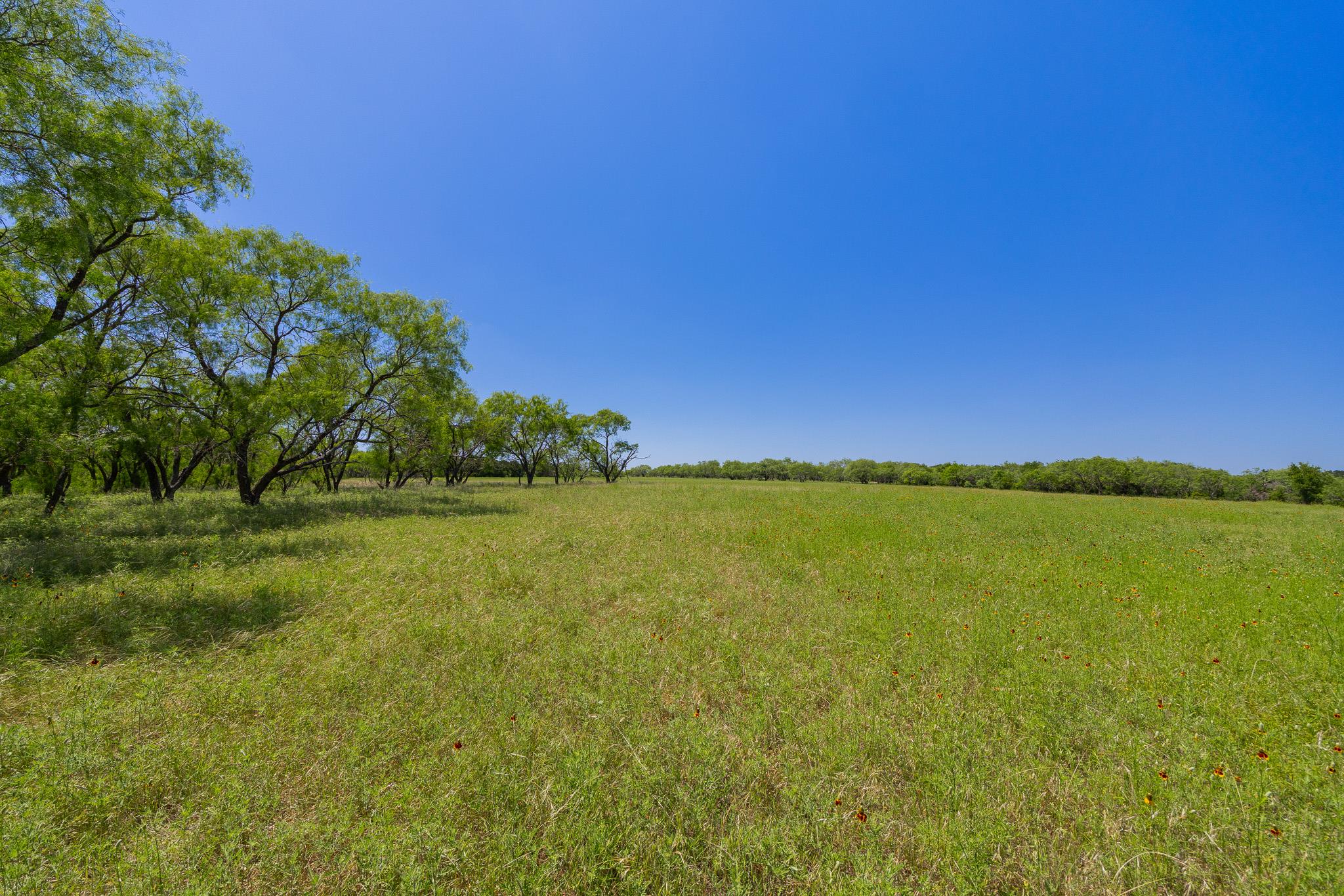 Purmela, TX 76566