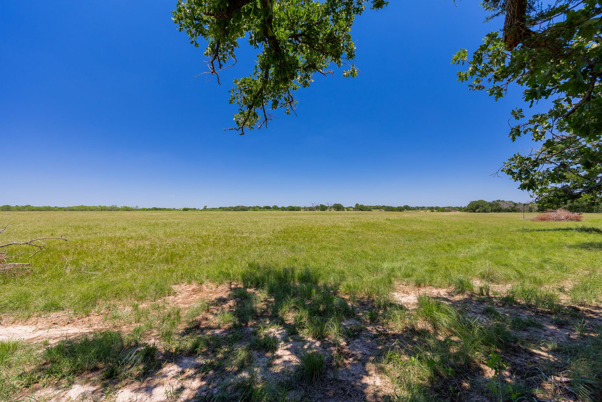 Purmela, TX 76566
