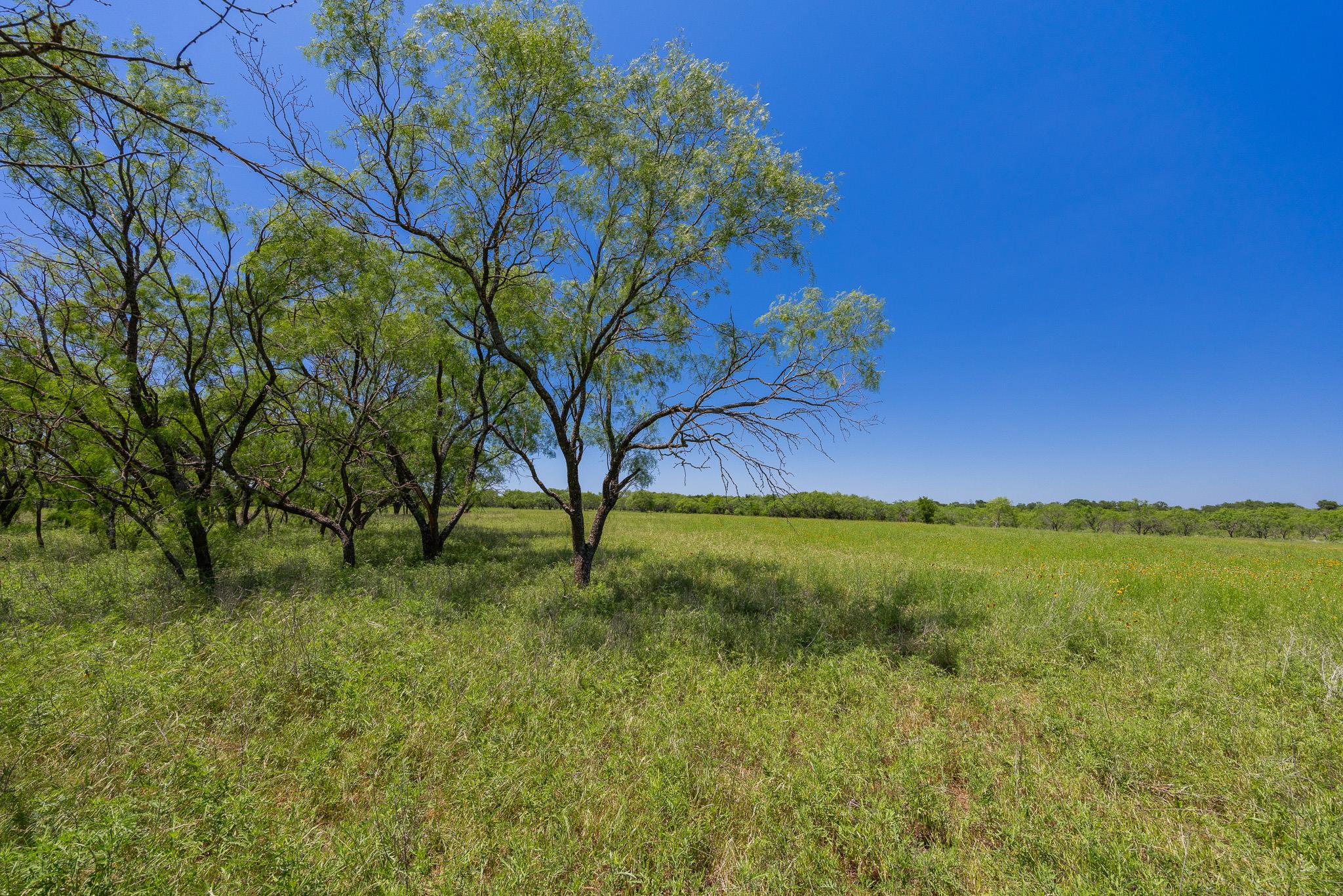Purmela, TX 76566