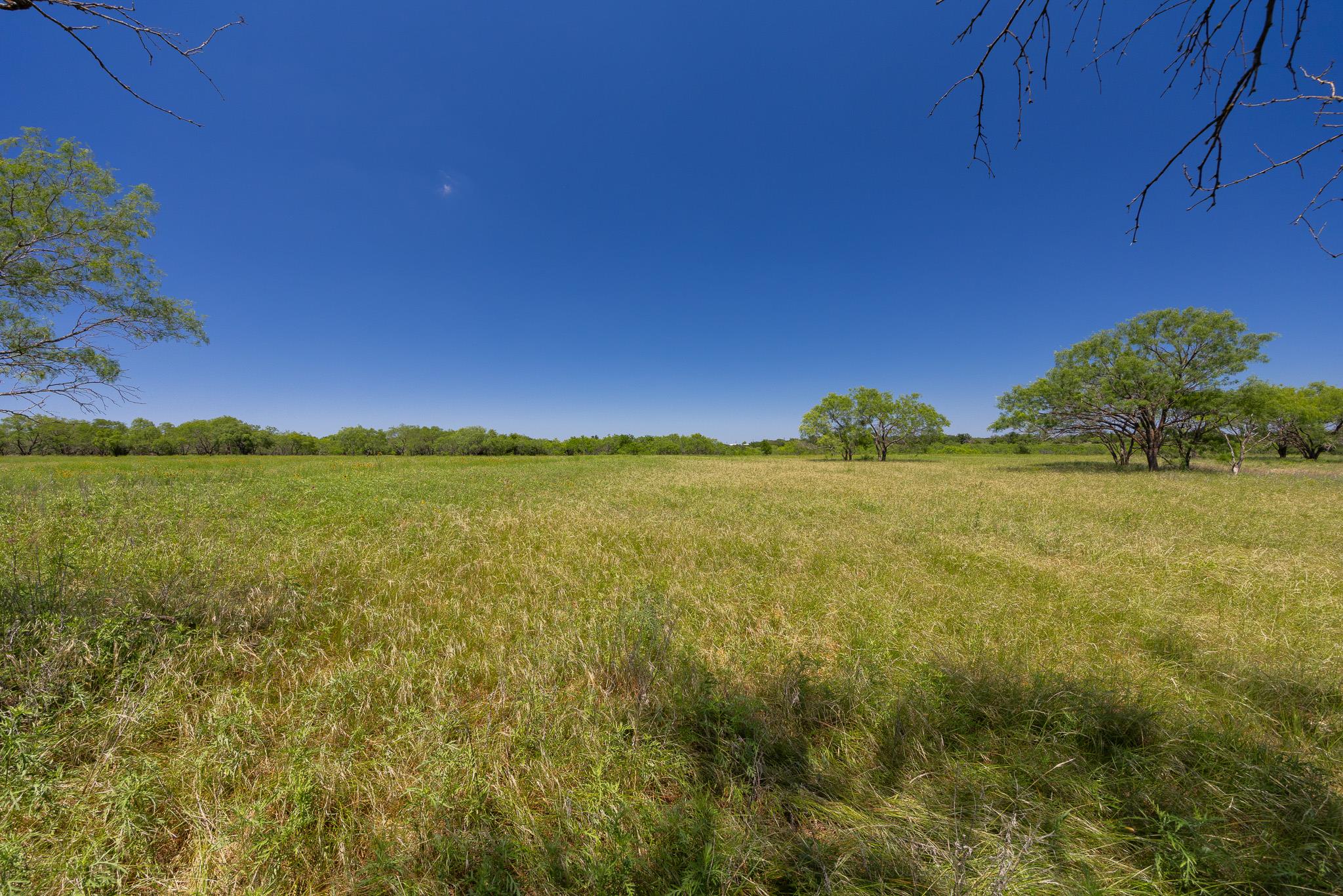 Purmela, TX 76566