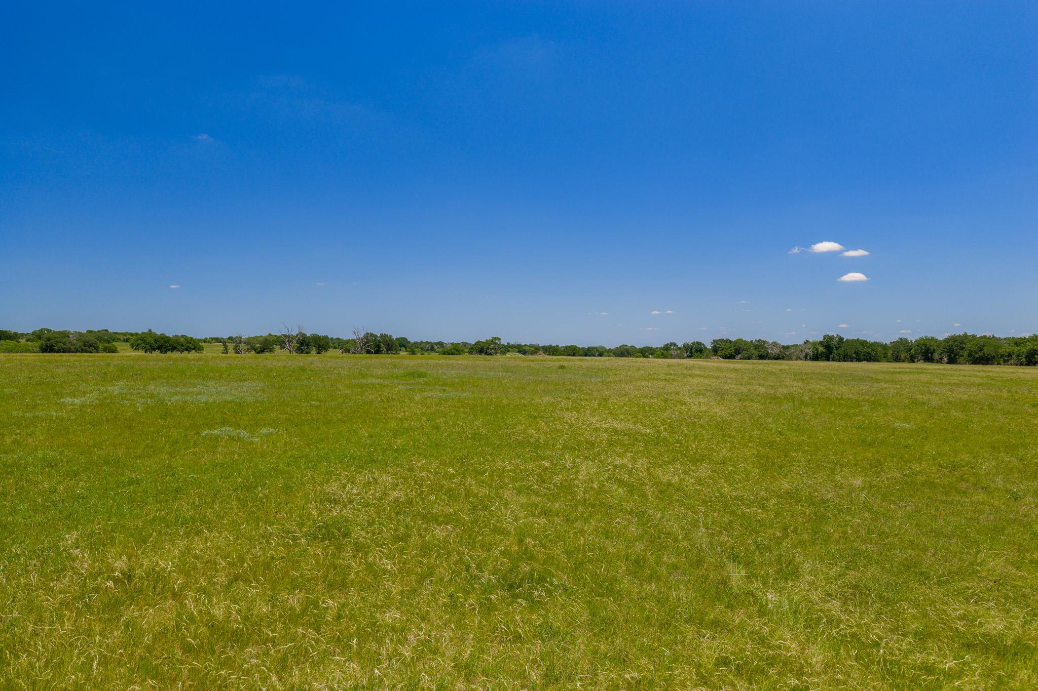 Purmela, TX 76566