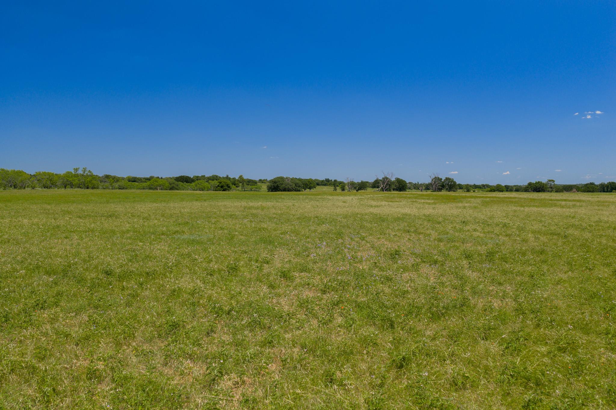Purmela, TX 76566