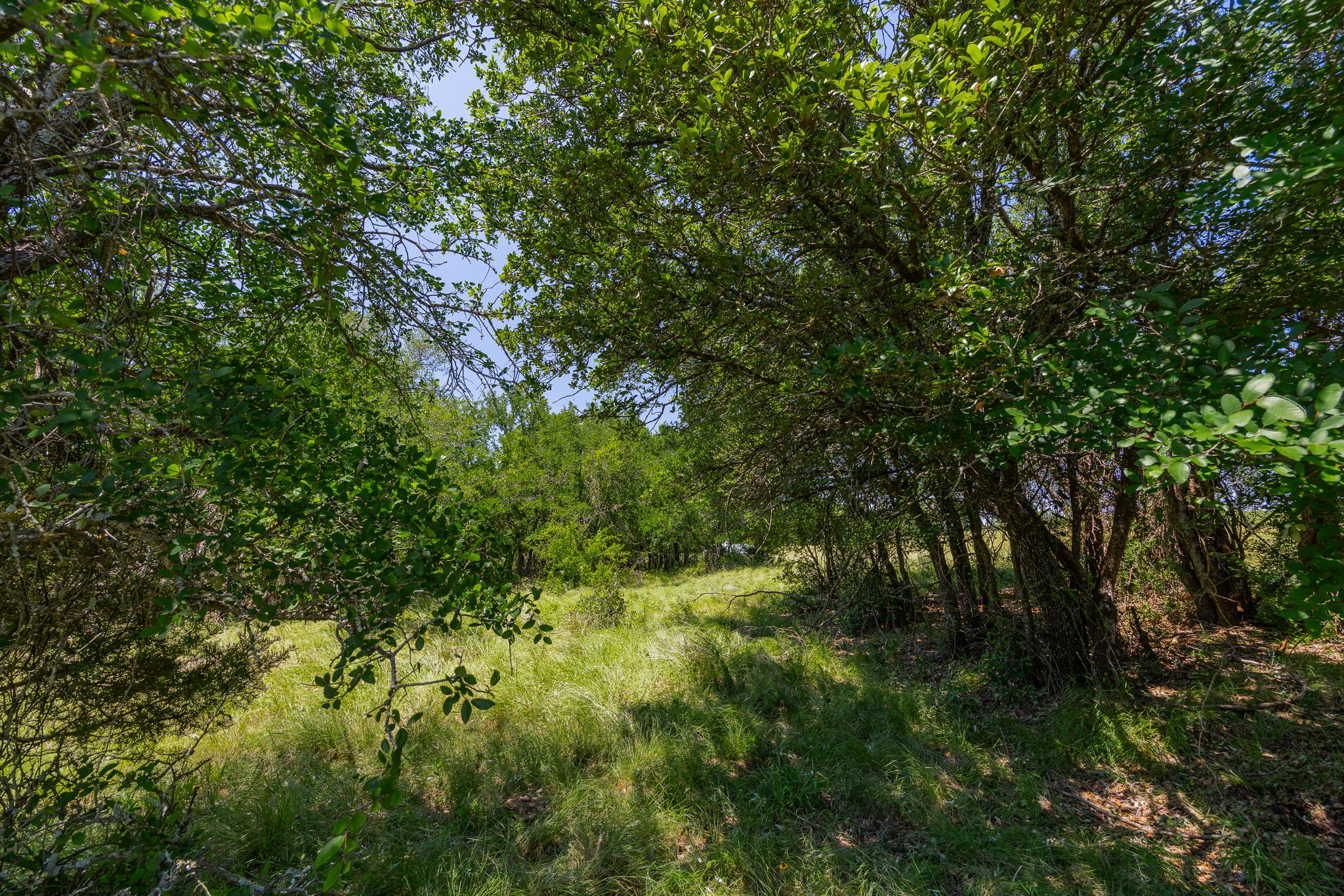 Purmela, TX 76566