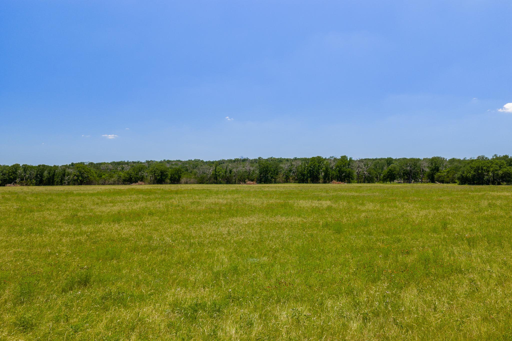 Purmela, TX 76566