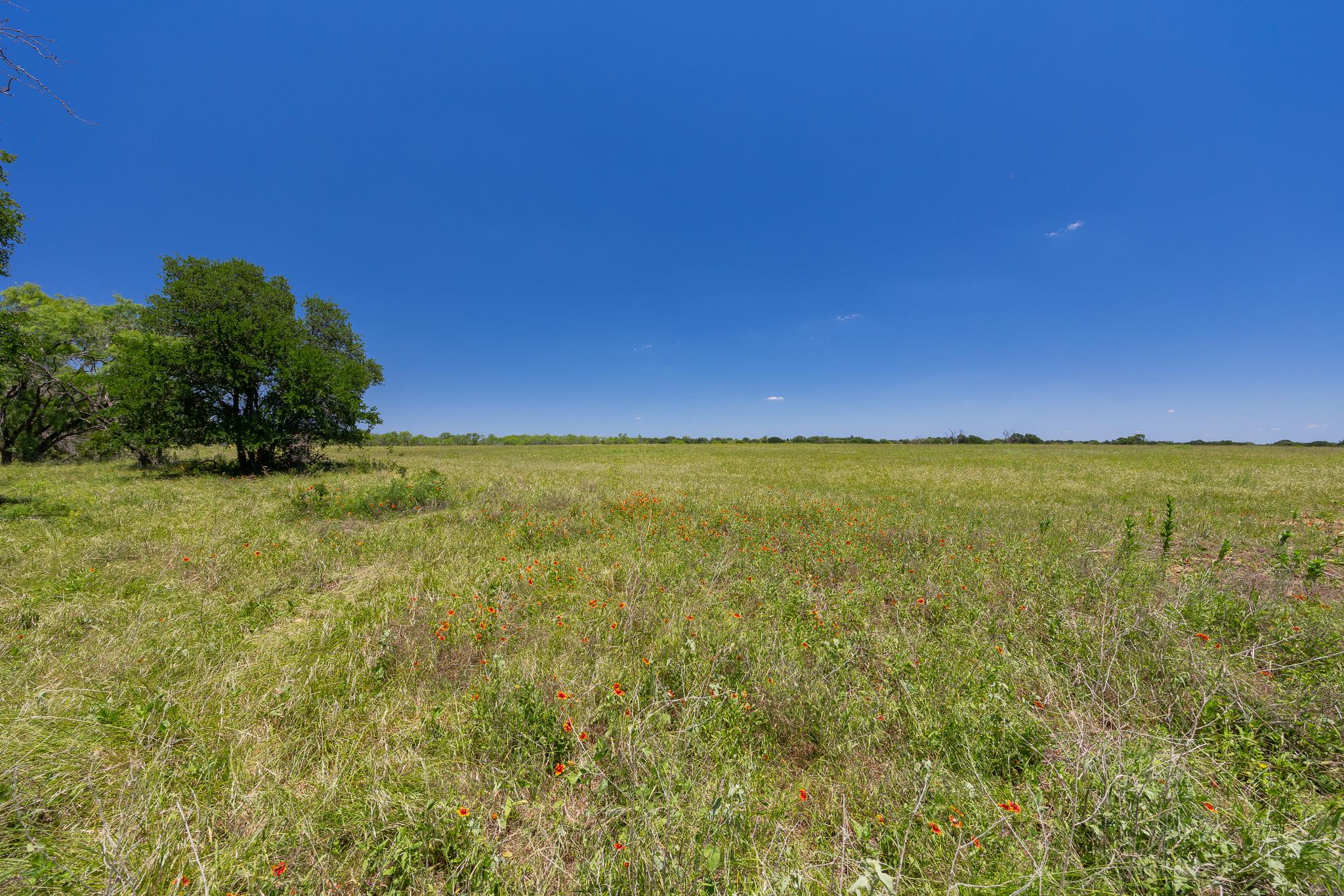 Purmela, TX 76566