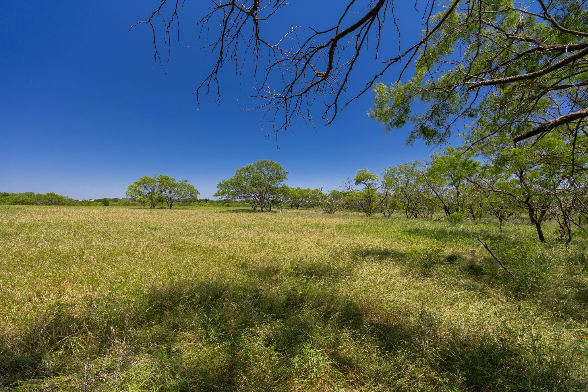 Purmela, TX 76566