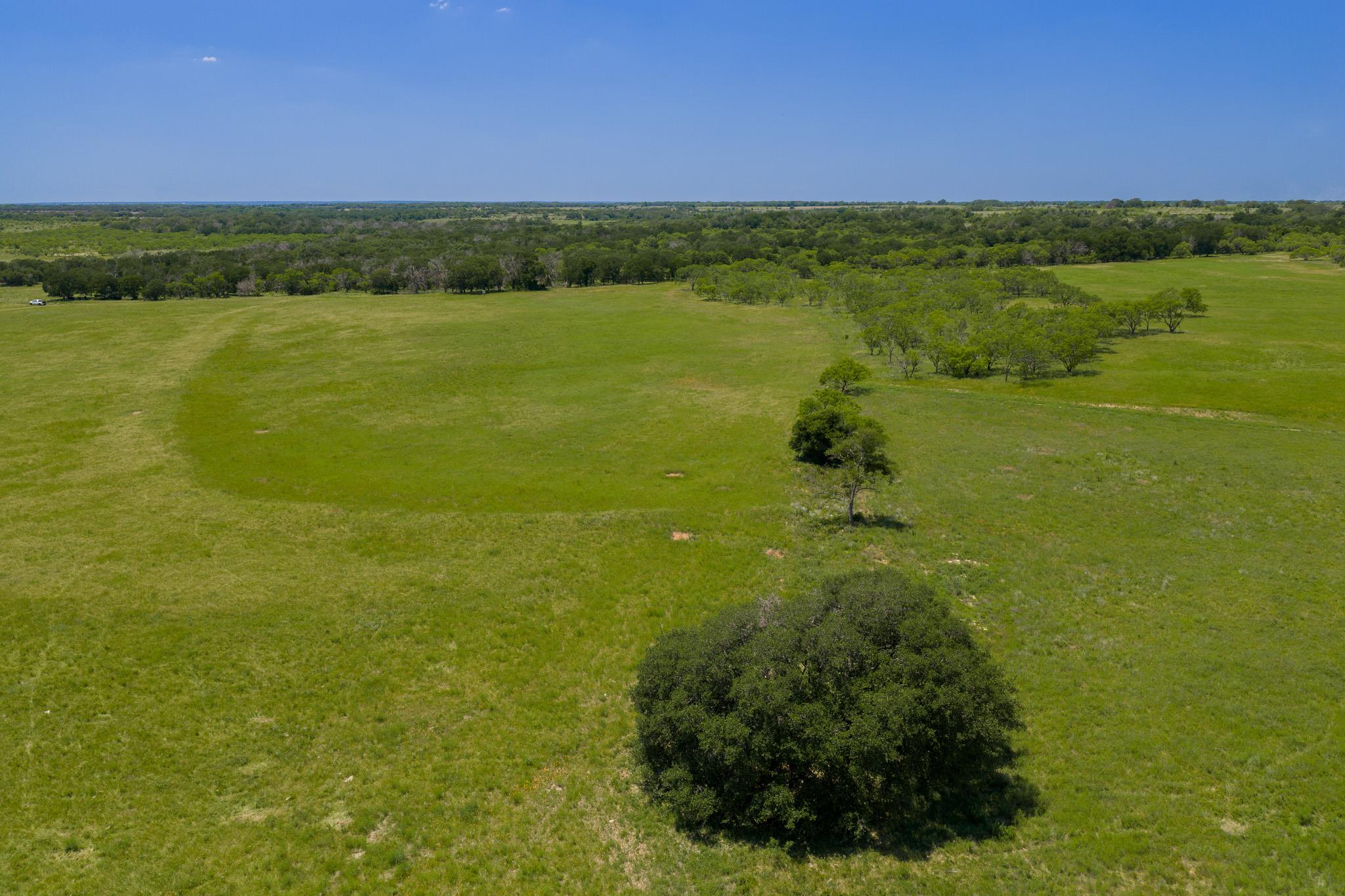 Purmela, TX 76566
