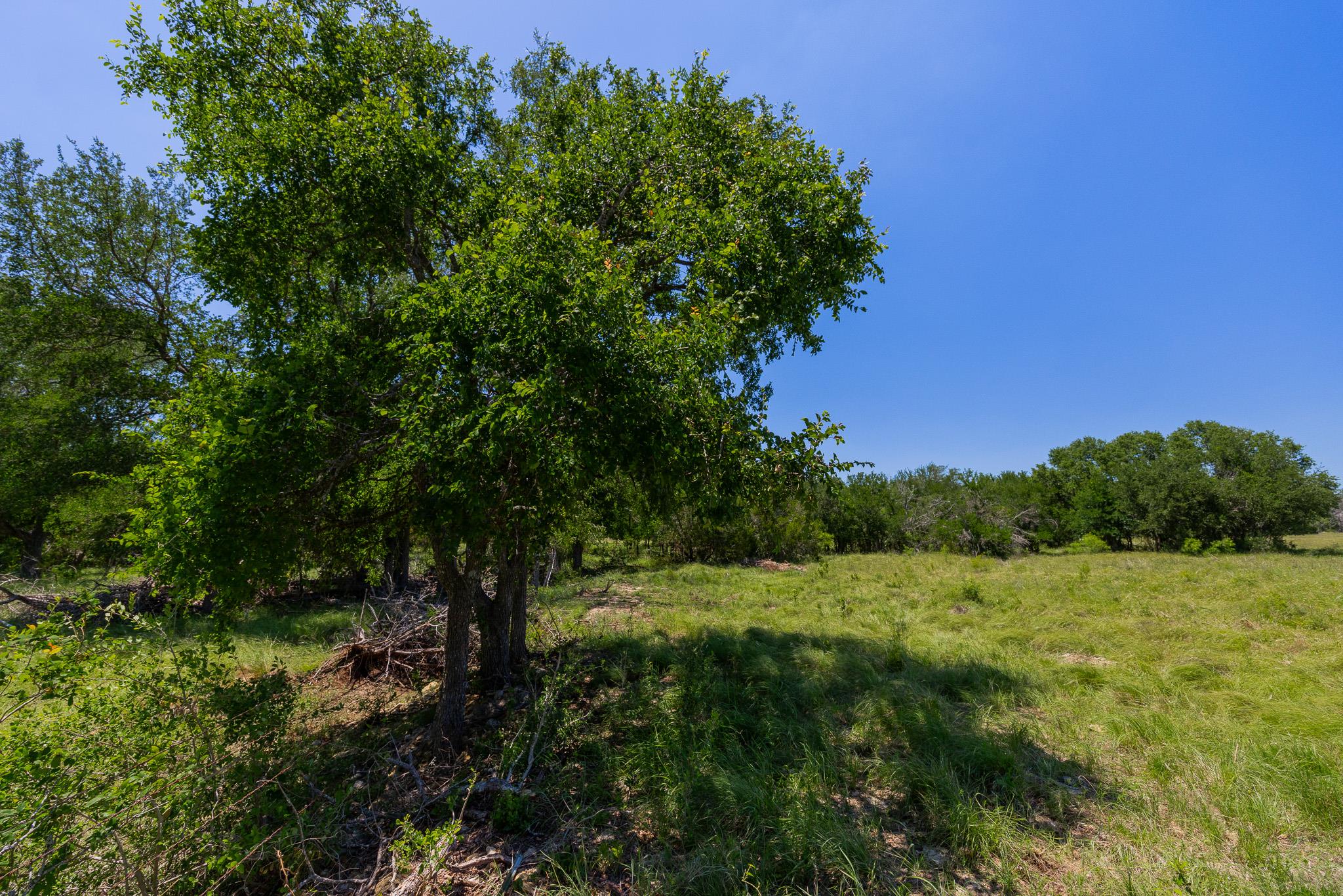 Purmela, TX 76566