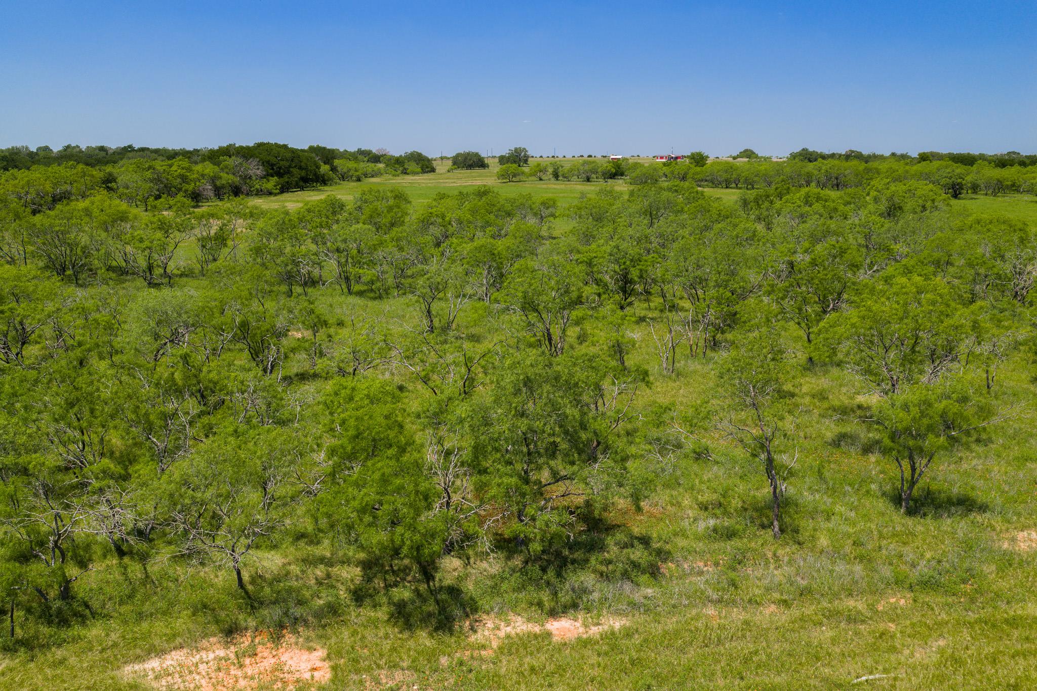 Purmela, TX 76566