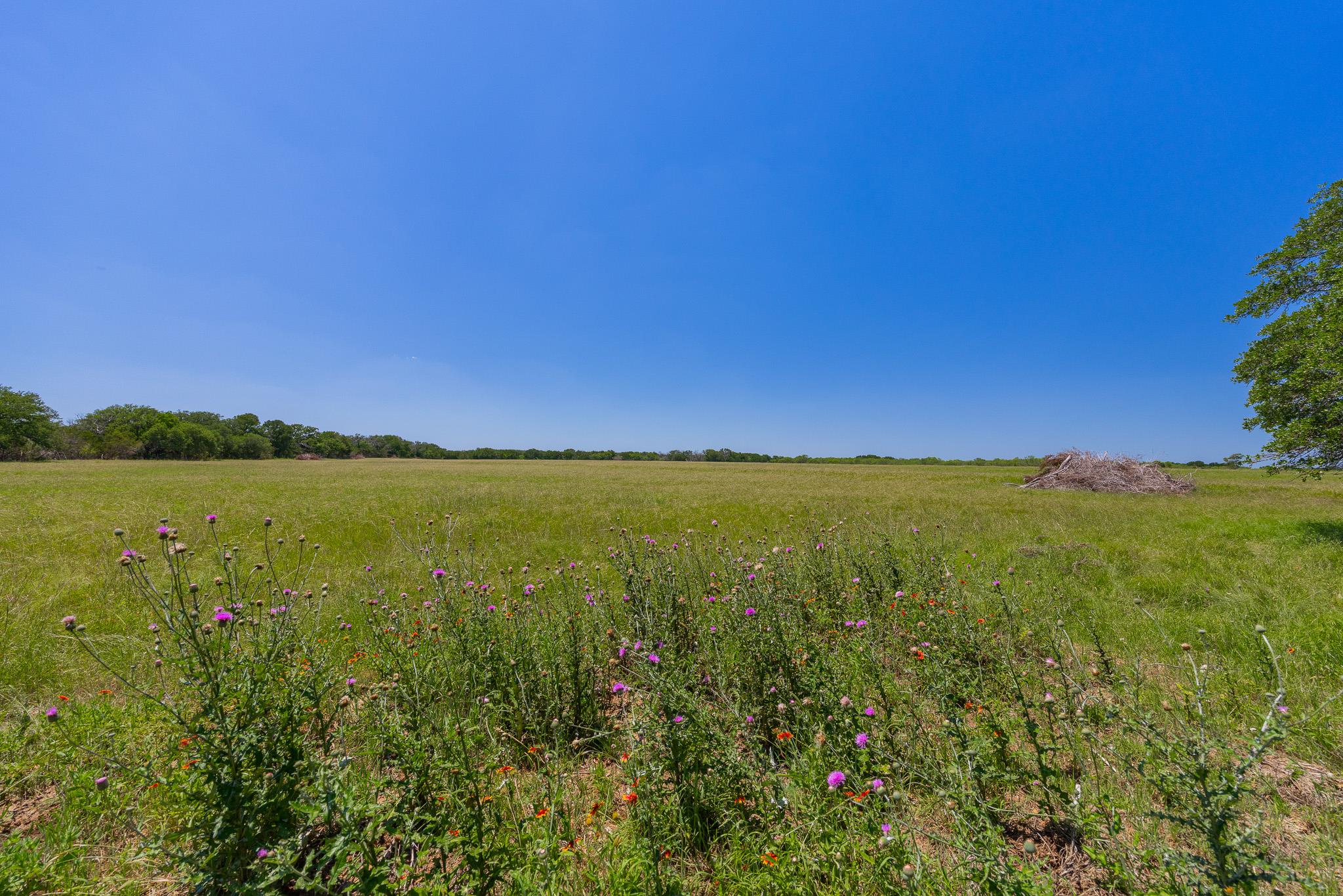 Purmela, TX 76566