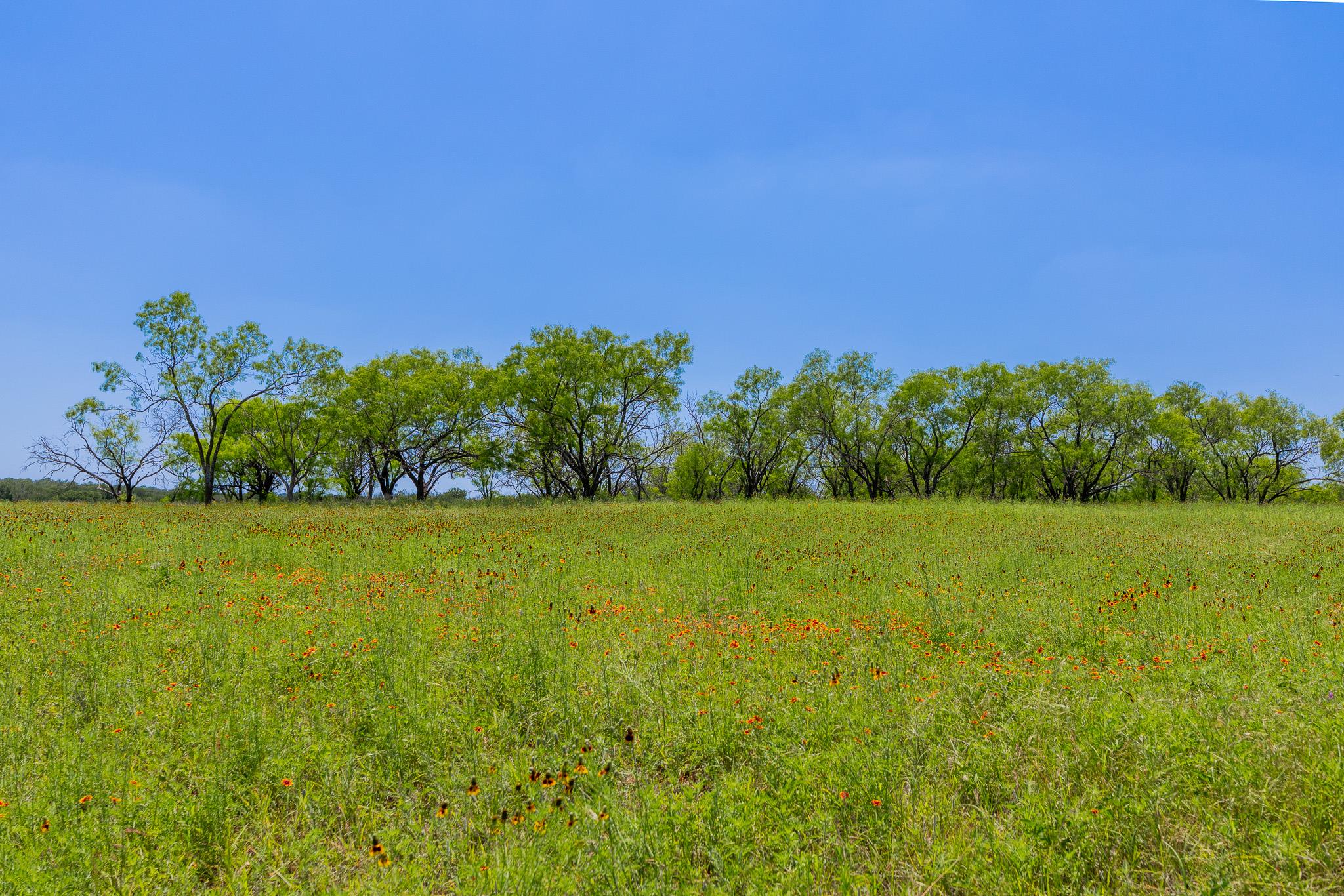 Purmela, TX 76566