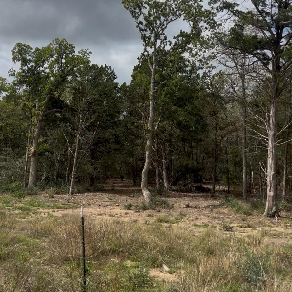Lot 15 Antioch Rd, Paige, TX 78659